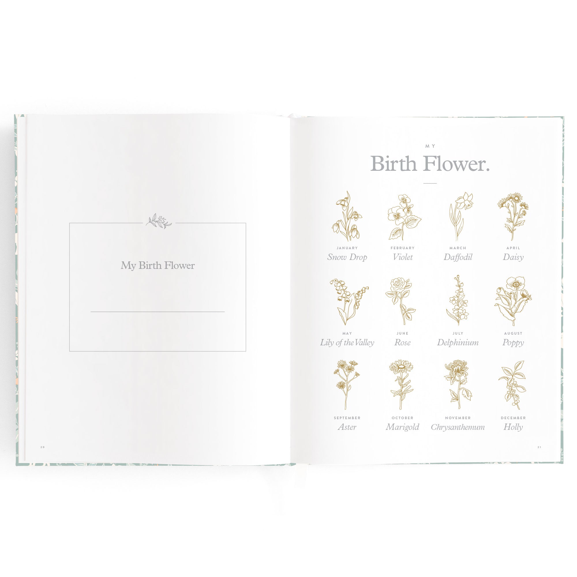 Baby Book Forest Friends Sage Boxed