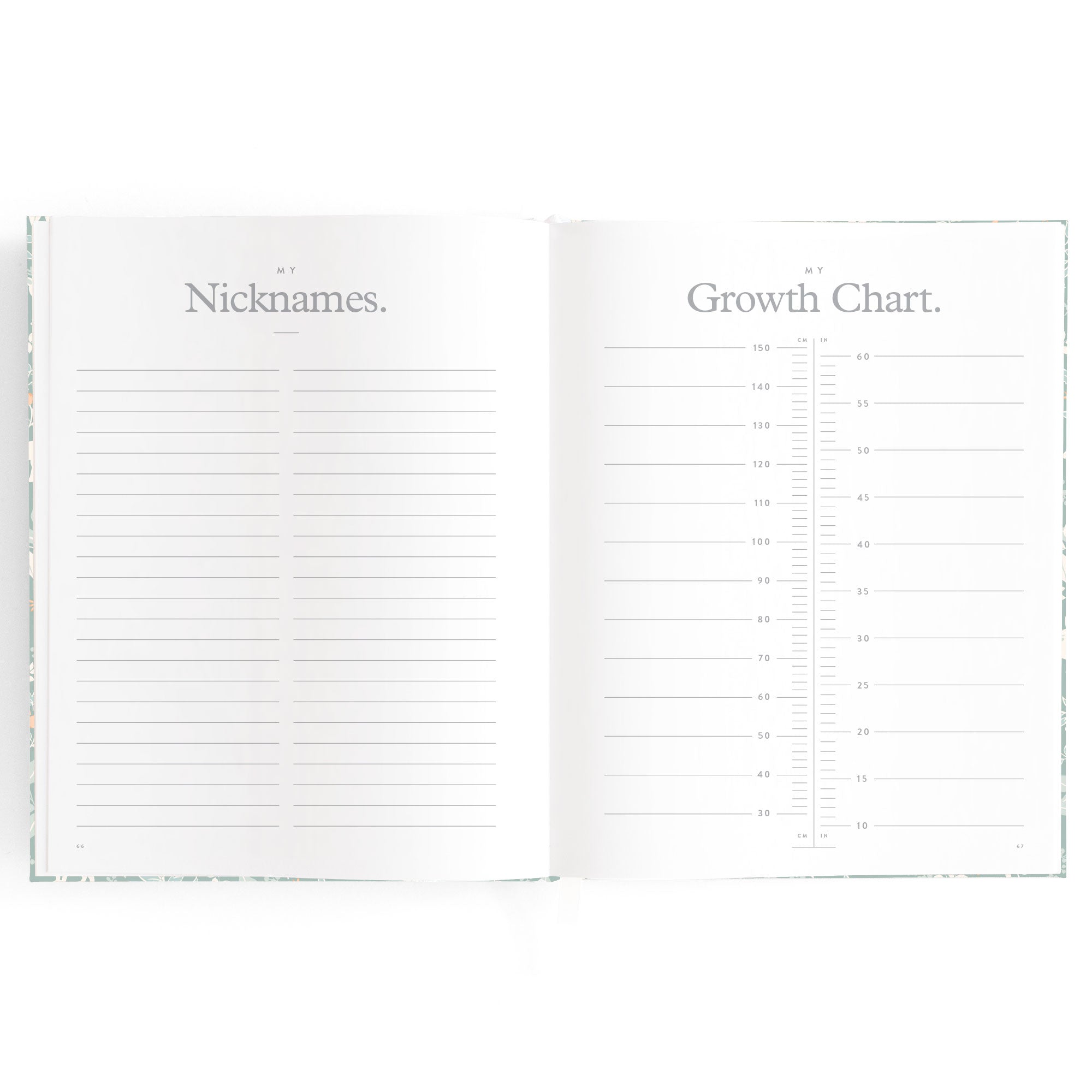 Baby Book Forest Friends Sage Boxed