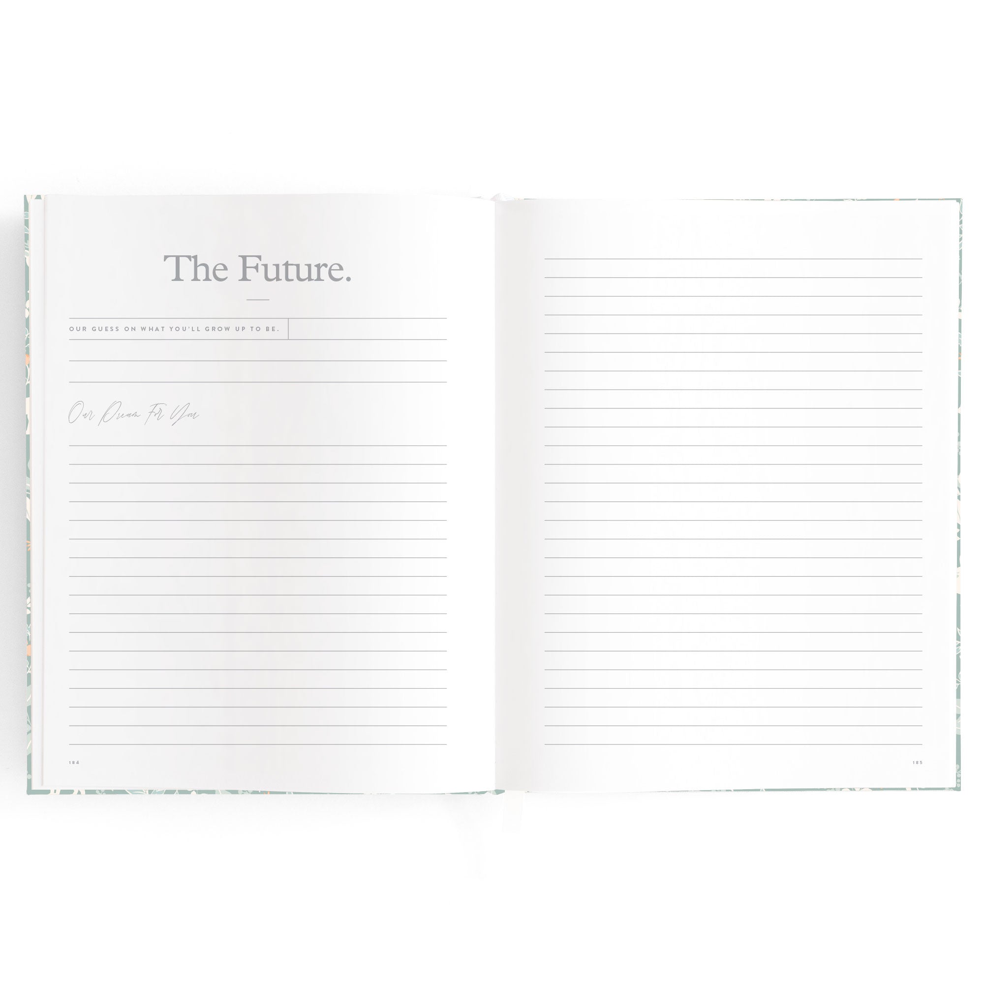 Baby Book Forest Friends Sage Boxed