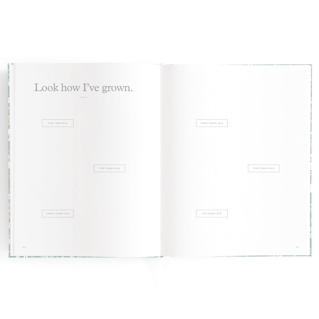 Baby Book Forest Friends Sage Boxed