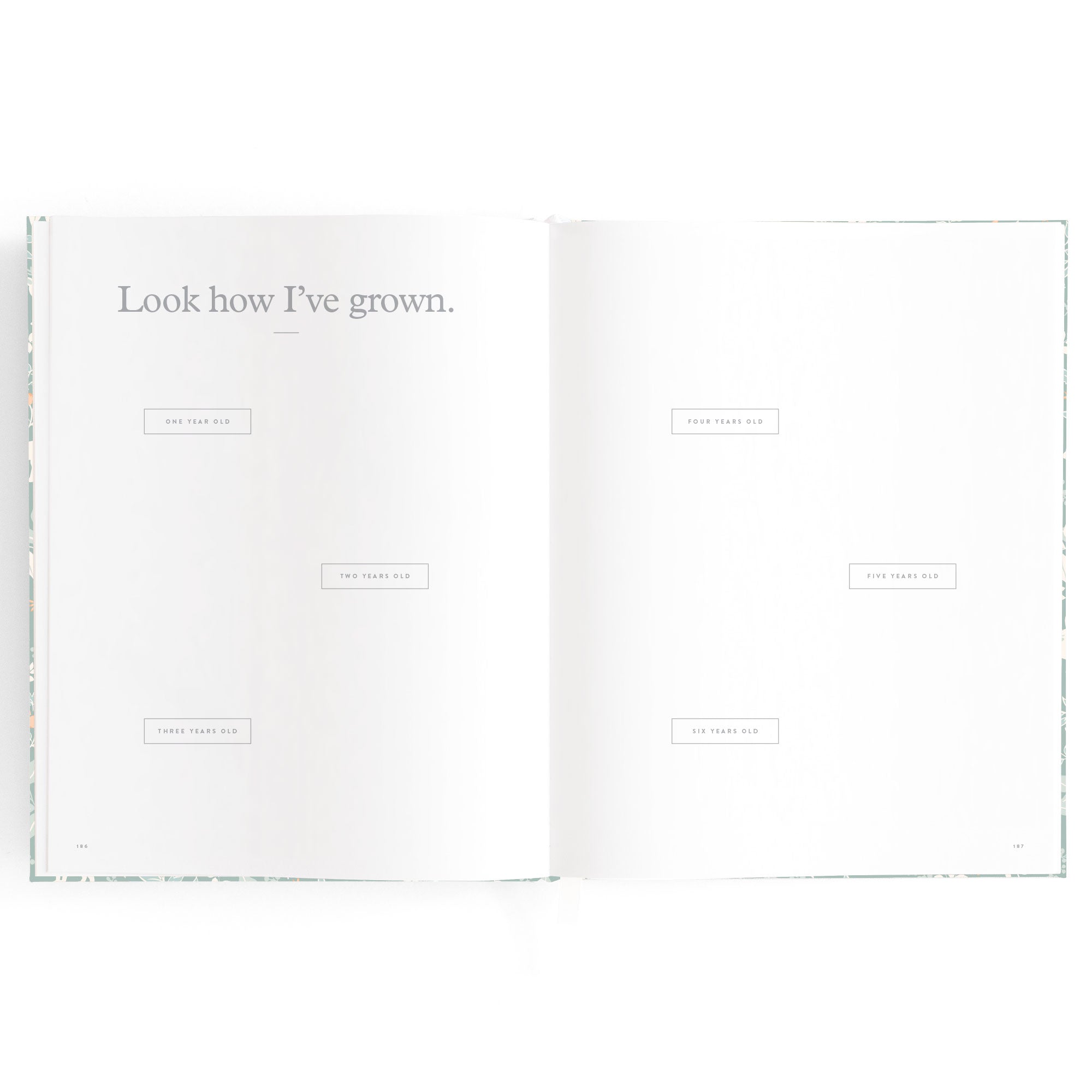 Baby Book Forest Friends Sage Boxed