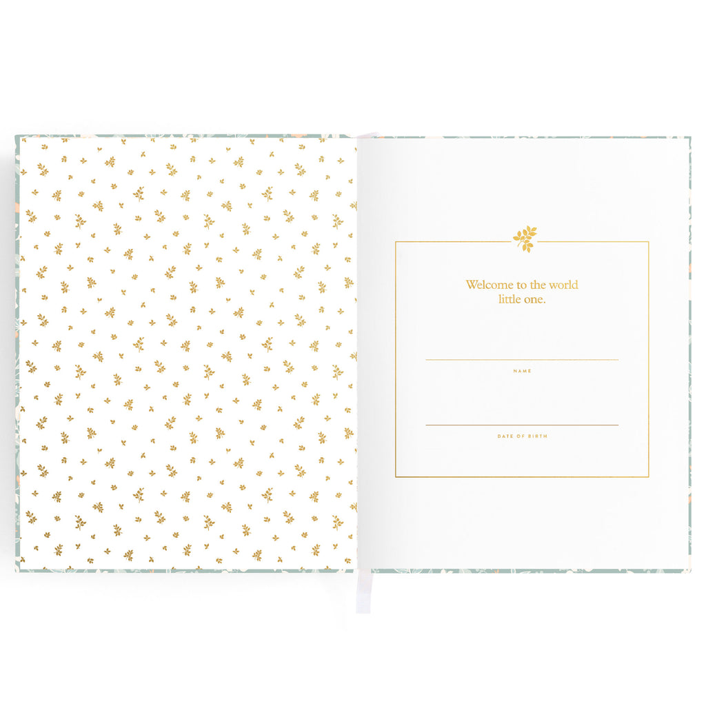 Baby Book Forest Friends Sage Boxed