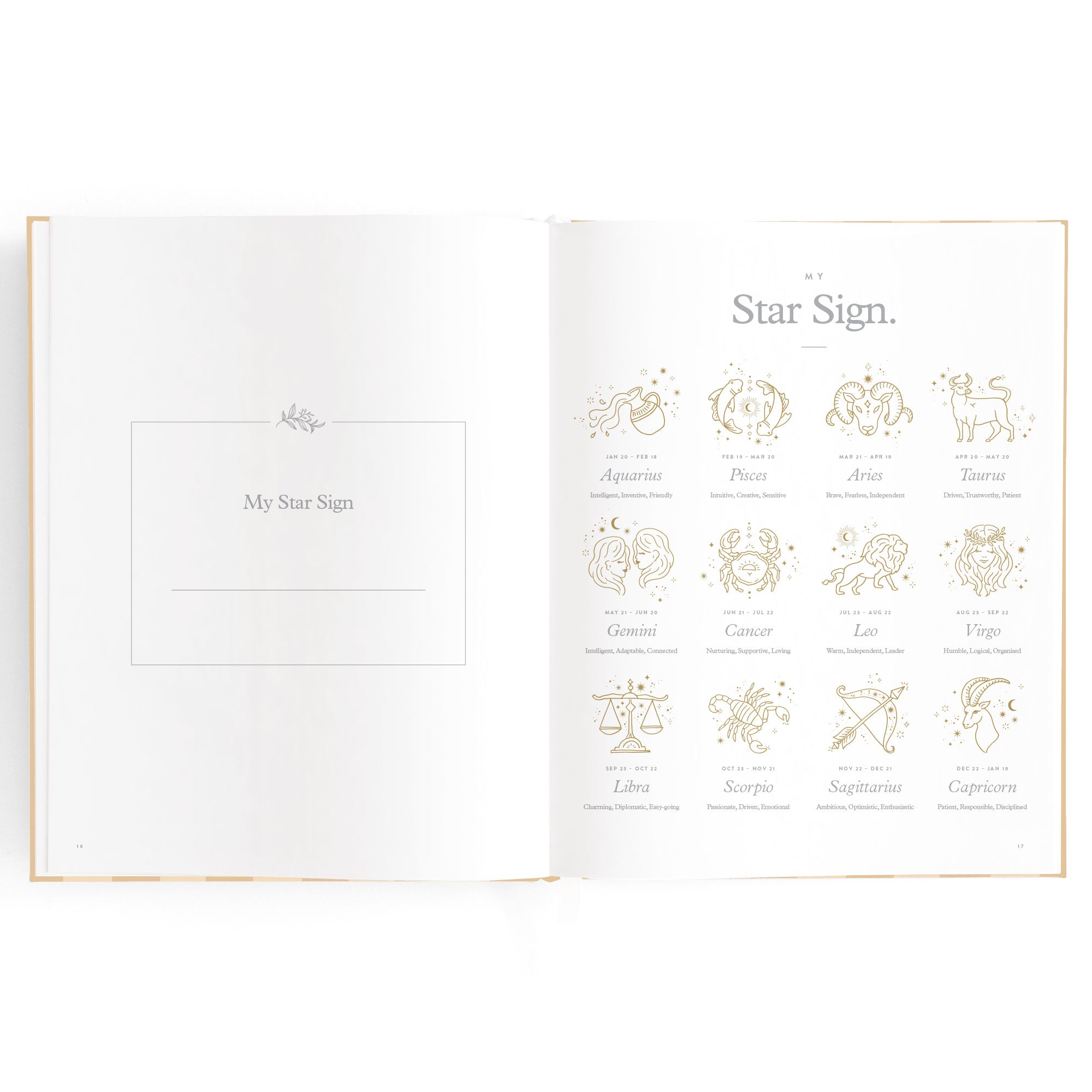 Baby Book Coffee Stripe - SECONDS