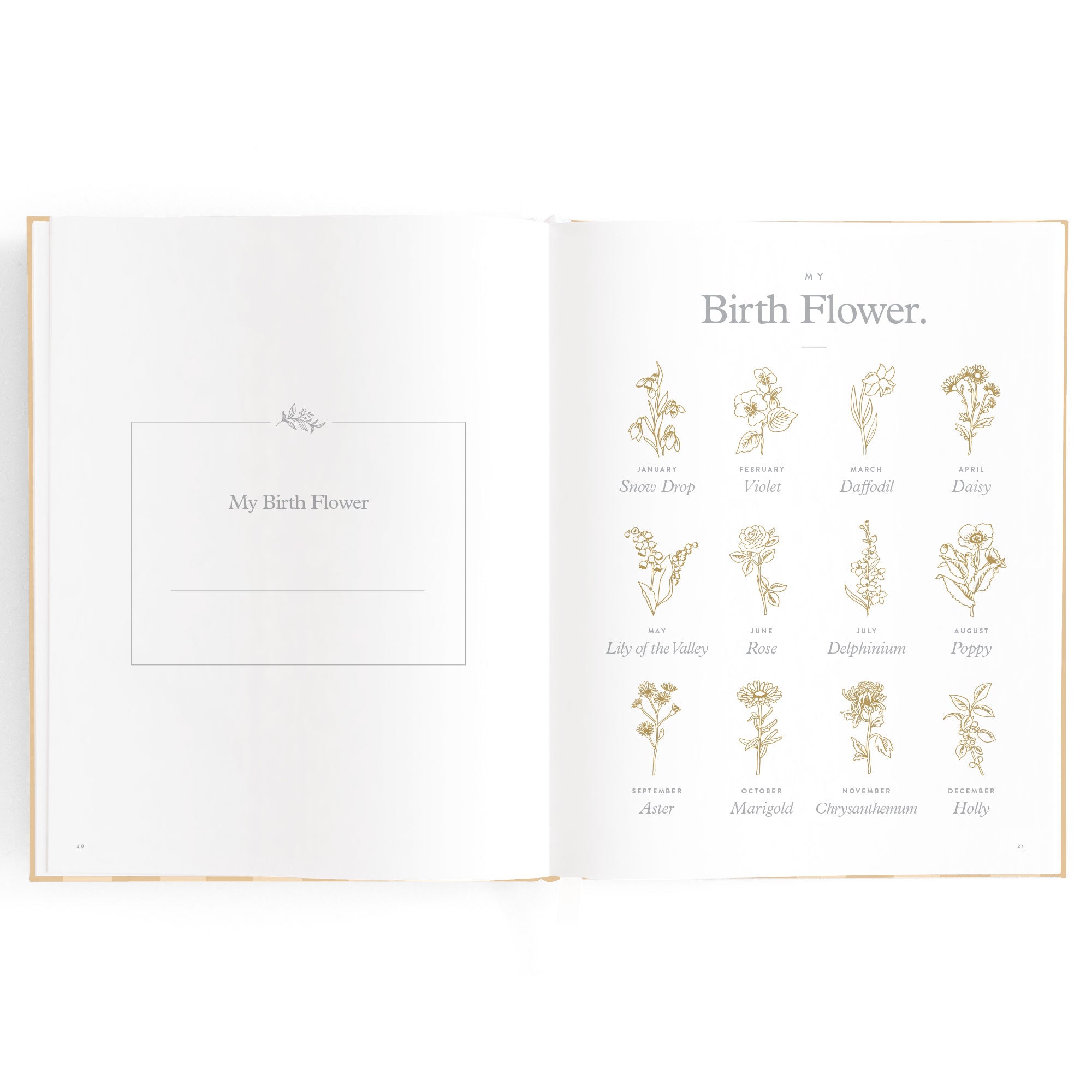 Baby Book Coffee Stripe - SECONDS