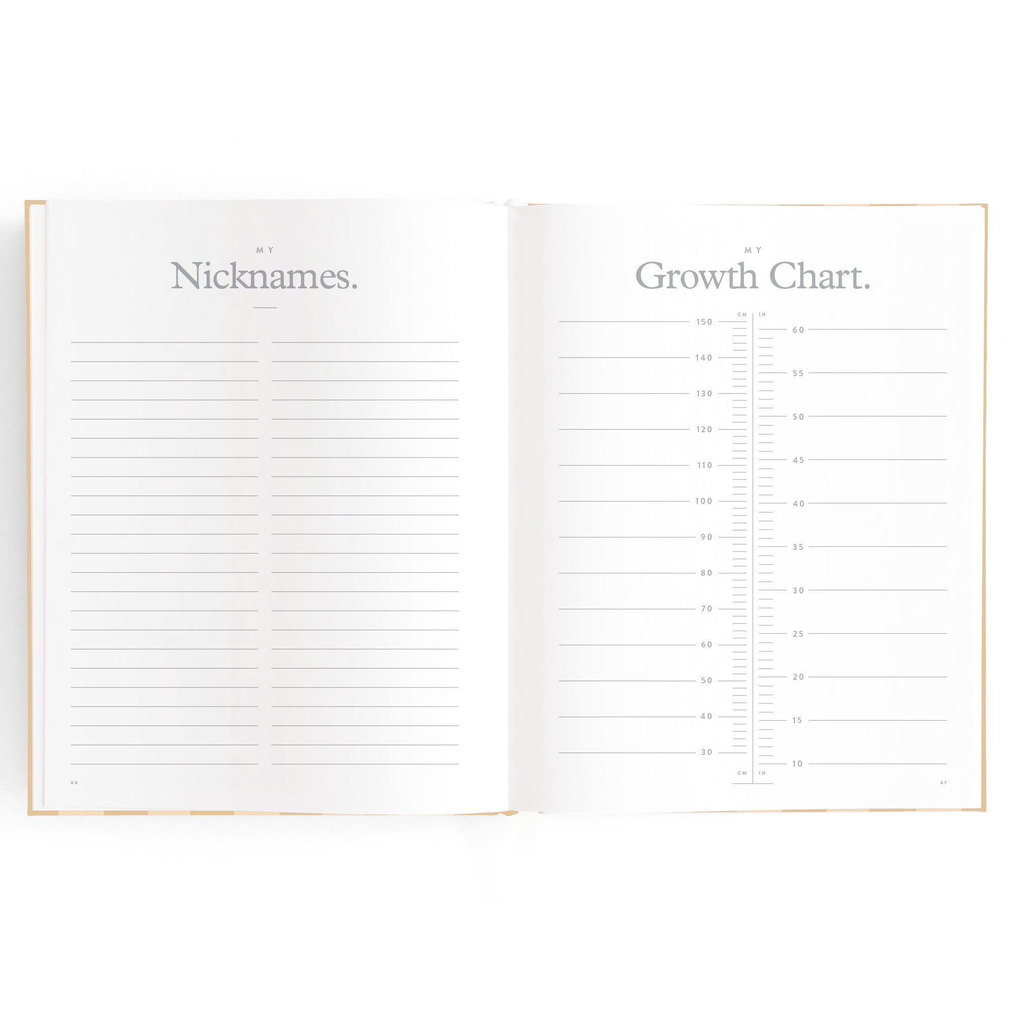 Baby Book Coffee Stripe - SECONDS