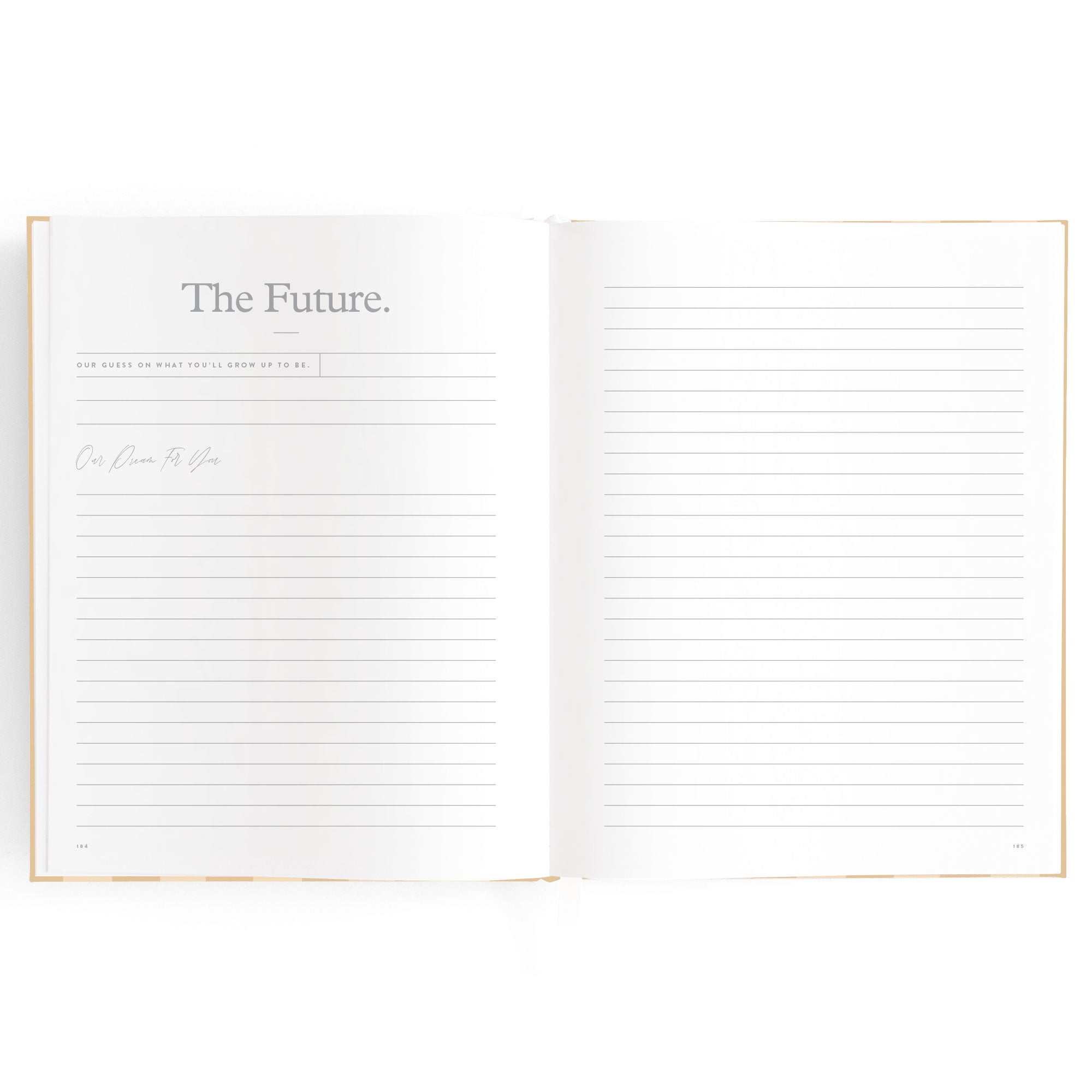 Baby Book Coffee Stripe - SECONDS