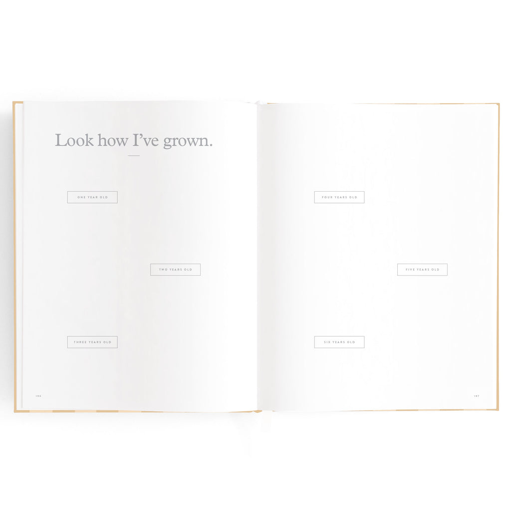 Baby Book Coffee Stripe - SECONDS