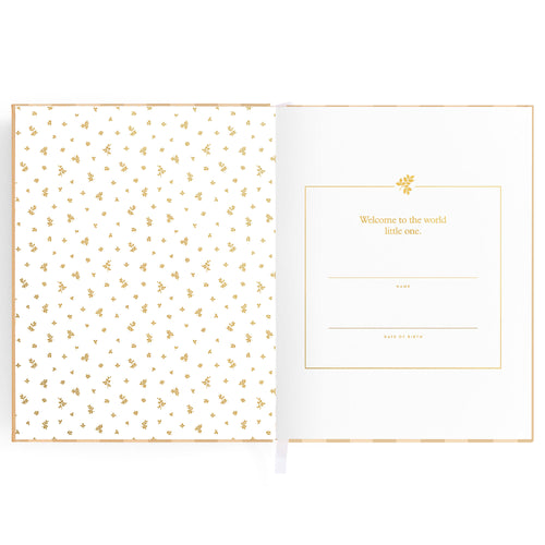 Baby Book Coffee Stripe - 3rd Edition