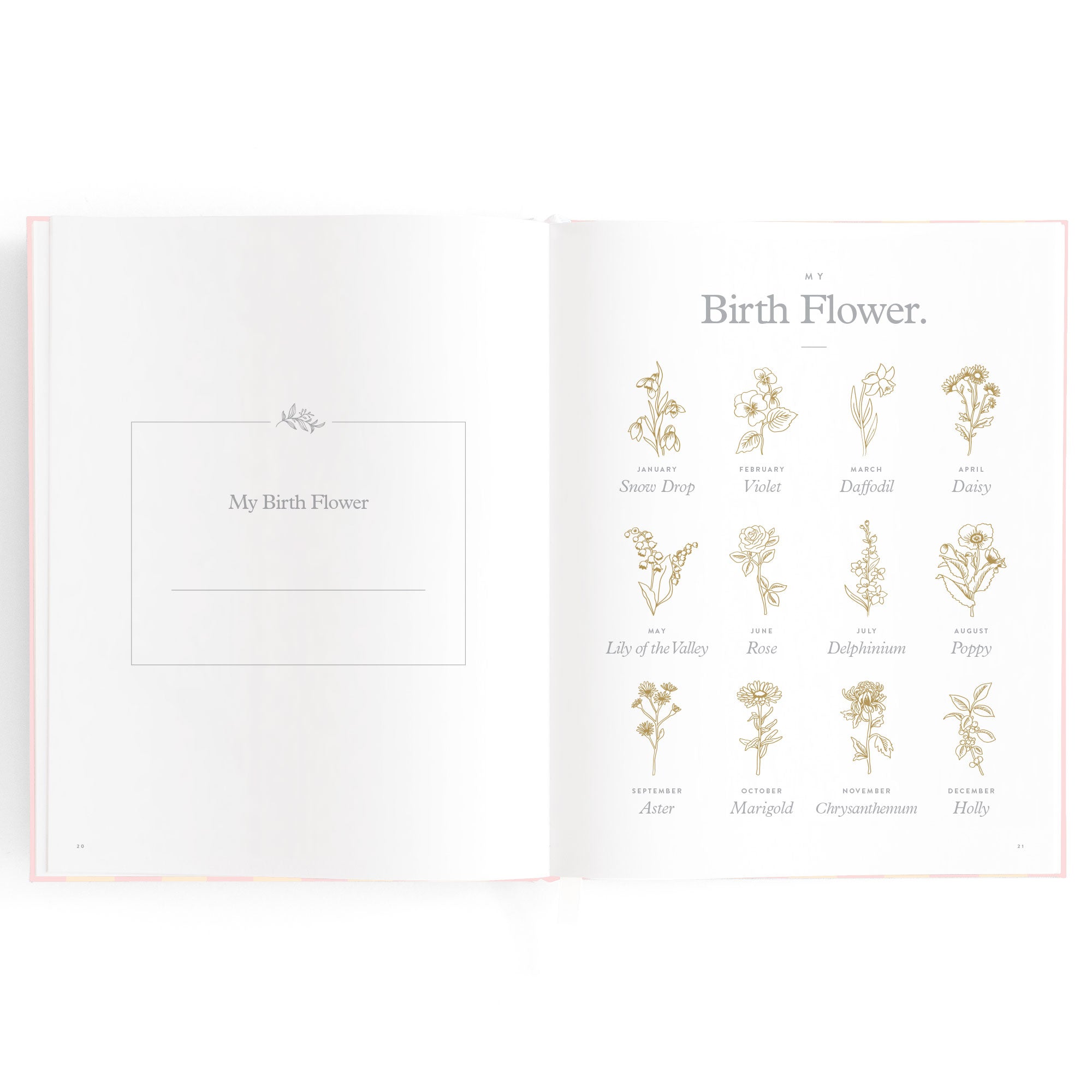 Baby Book Forest Friends Peony Boxed - 3rd Edition