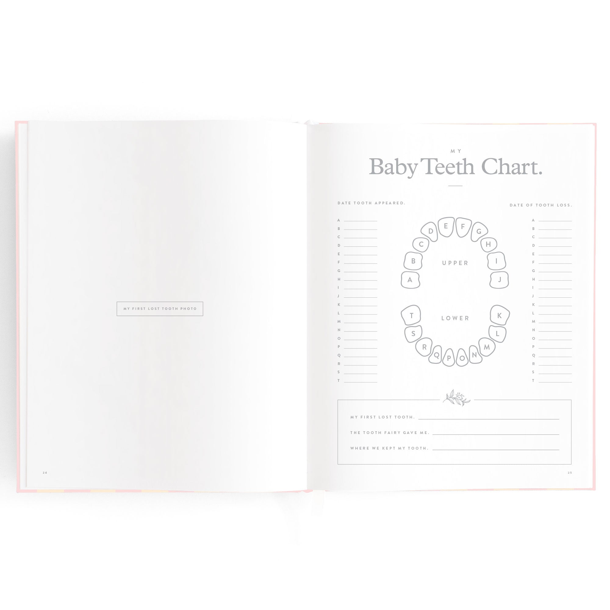 Baby Book Petal Stripe - 3rd Edition - PRE-ORDER (MAY)