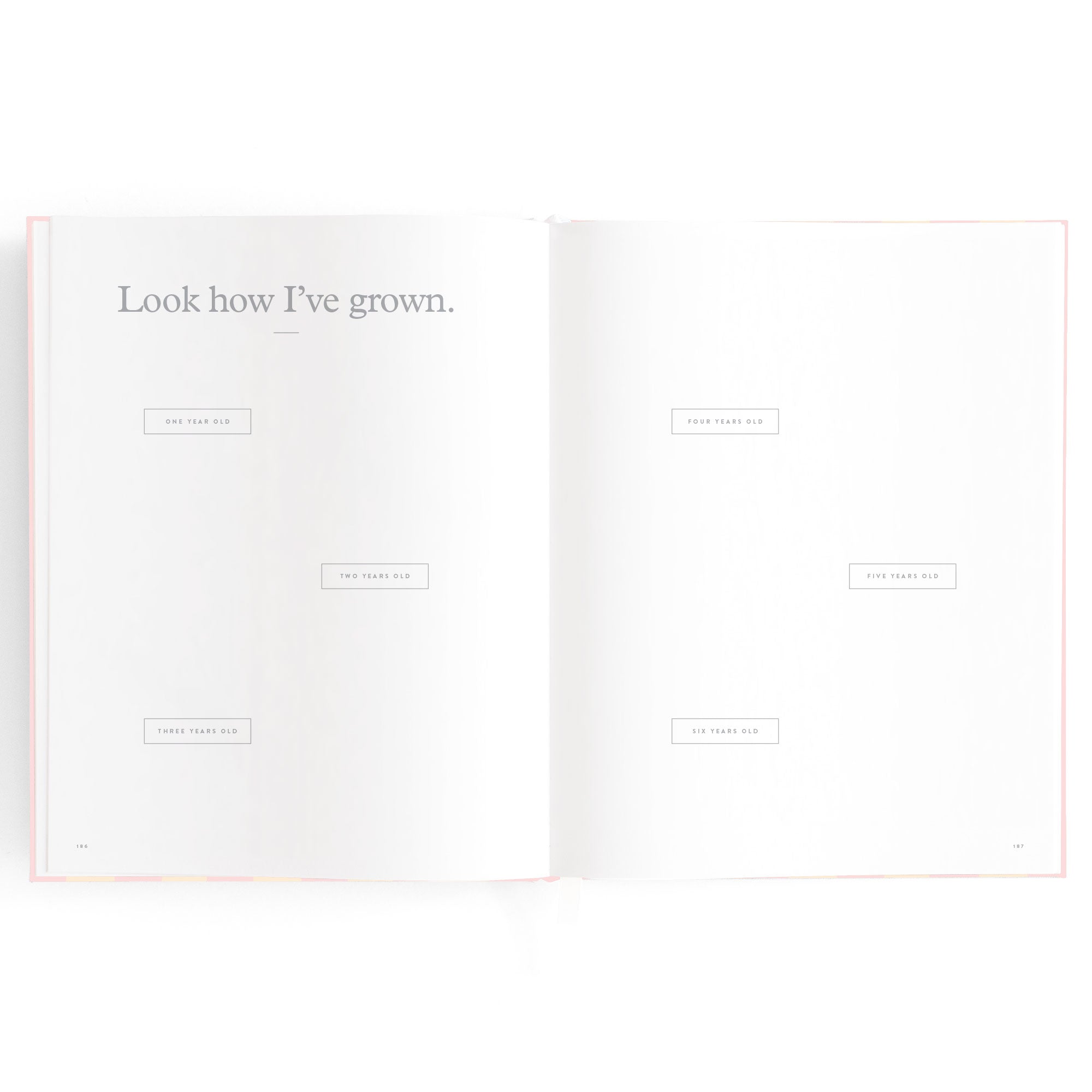 Baby Book Petal Stripe - 3rd Edition - PRE-ORDER (MAY)