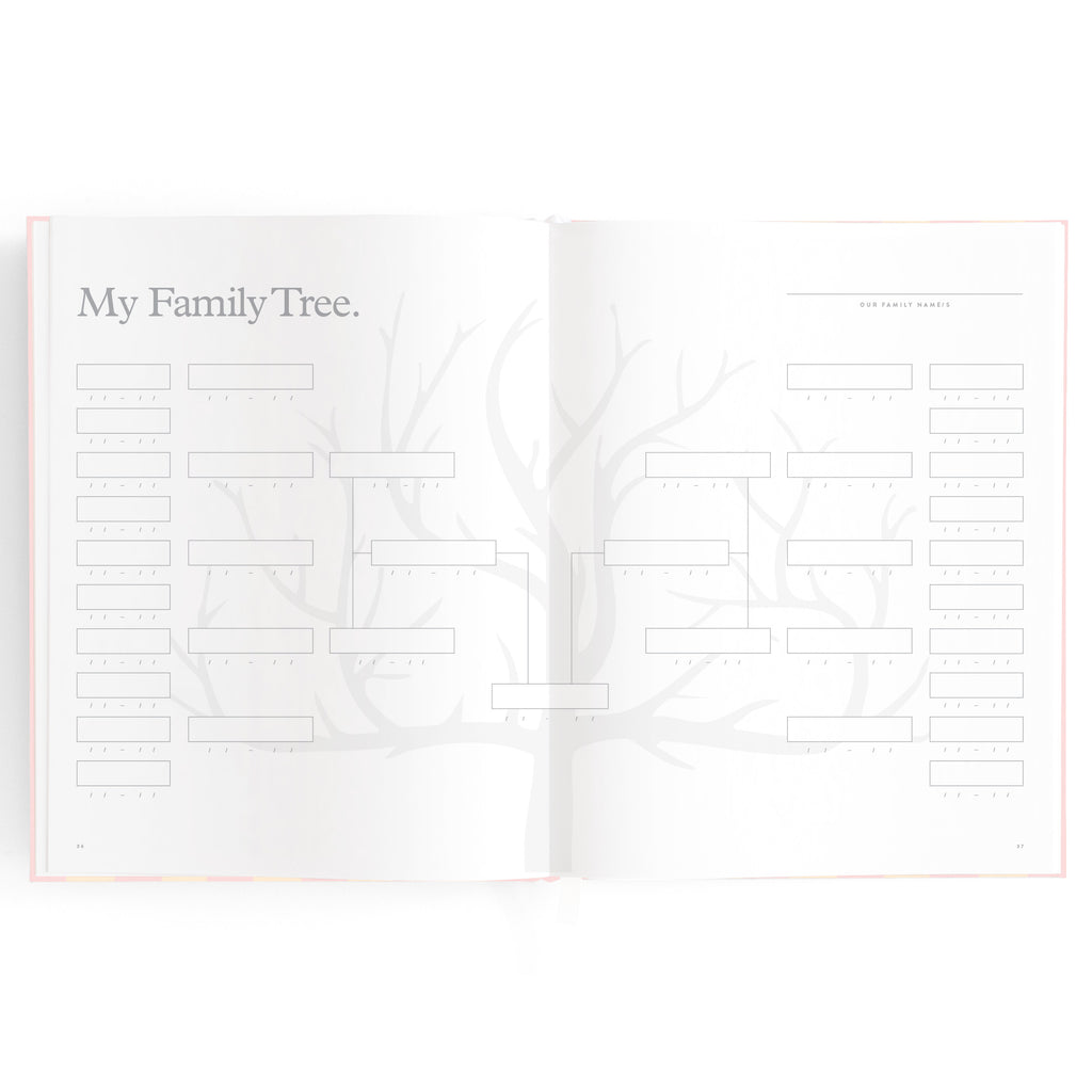 Baby Book Petal Stripe - 3rd Edition - PRE-ORDER (MAY)