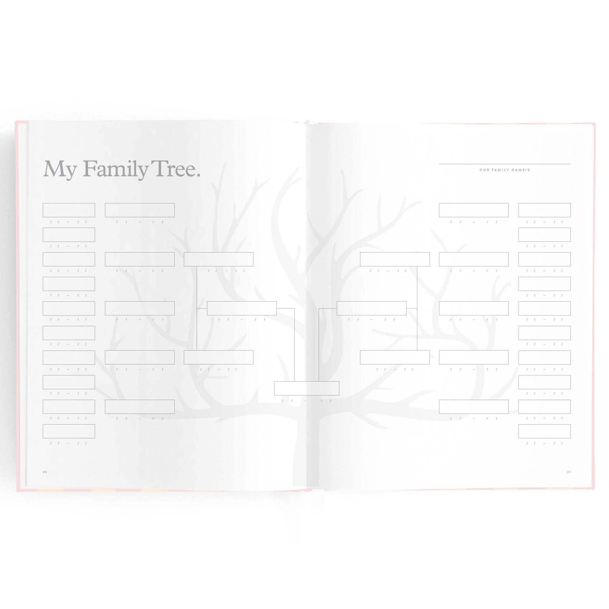 Baby Book Petal Stripe - 3rd Edition - PRE-ORDER (MAY)