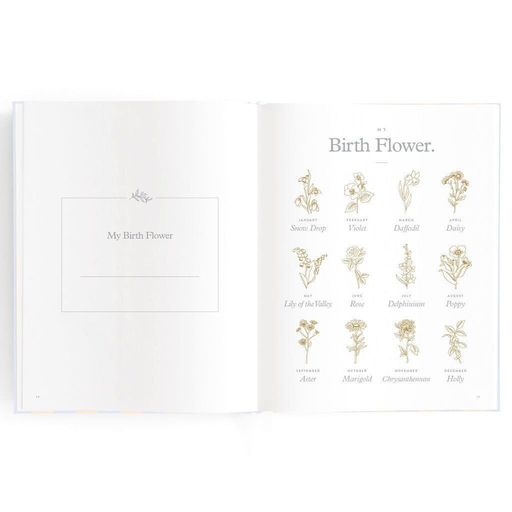 Baby Book Cloud Stripe - 3rd Edition - PRE-ORDER (MAY)