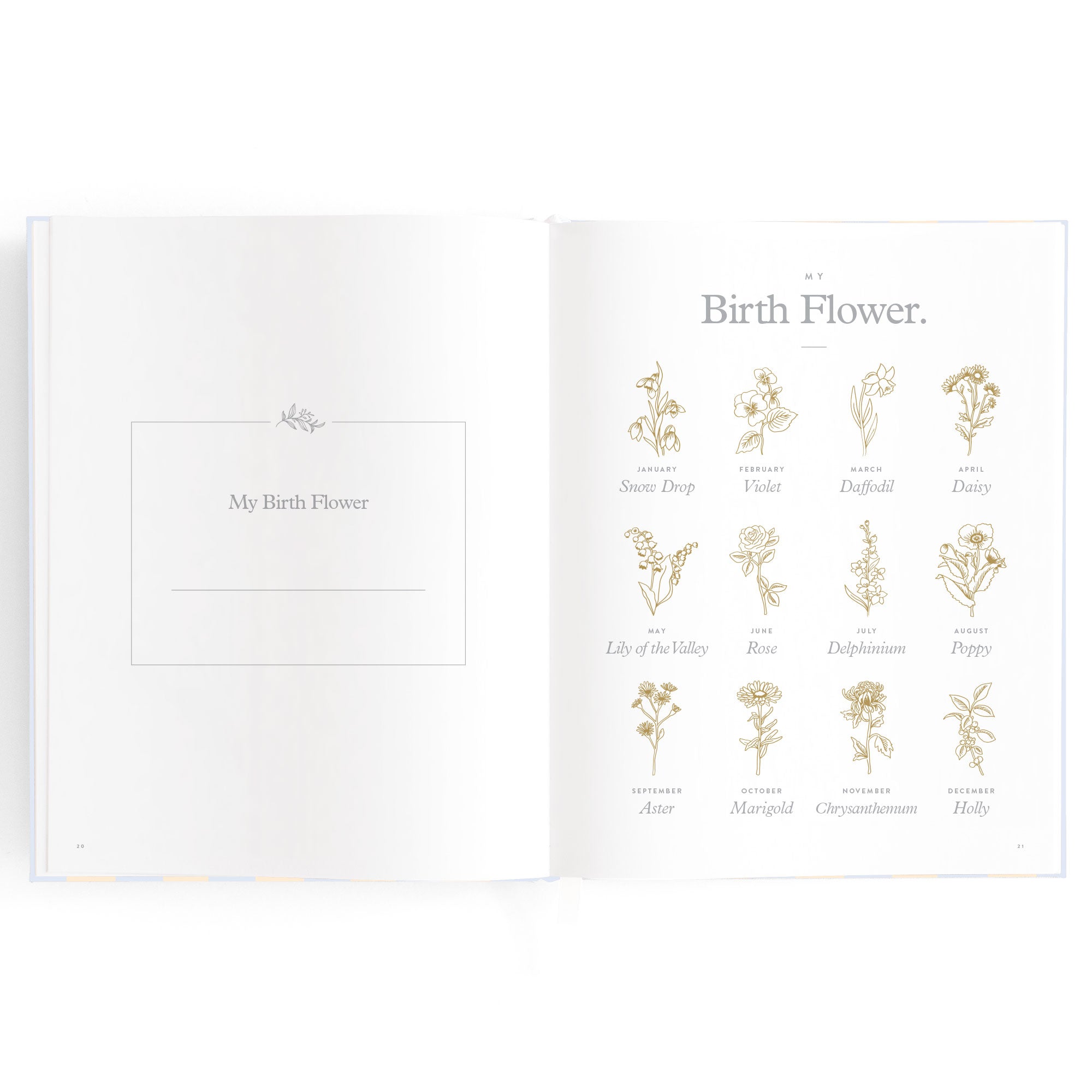 Baby Book Cloud Stripe - 3rd Edition - PRE-ORDER (MAY)