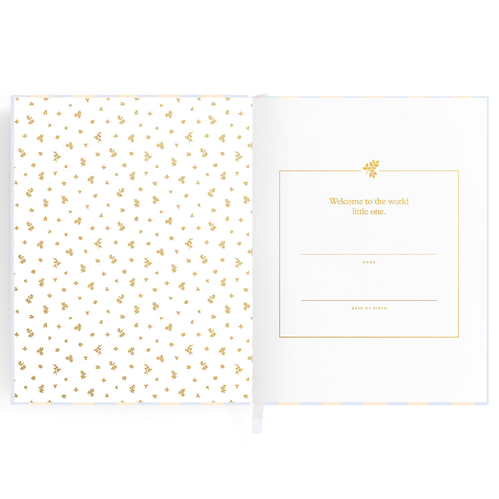 Baby Book Cloud Stripe - 3rd Edition - PRE-ORDER (MAY)