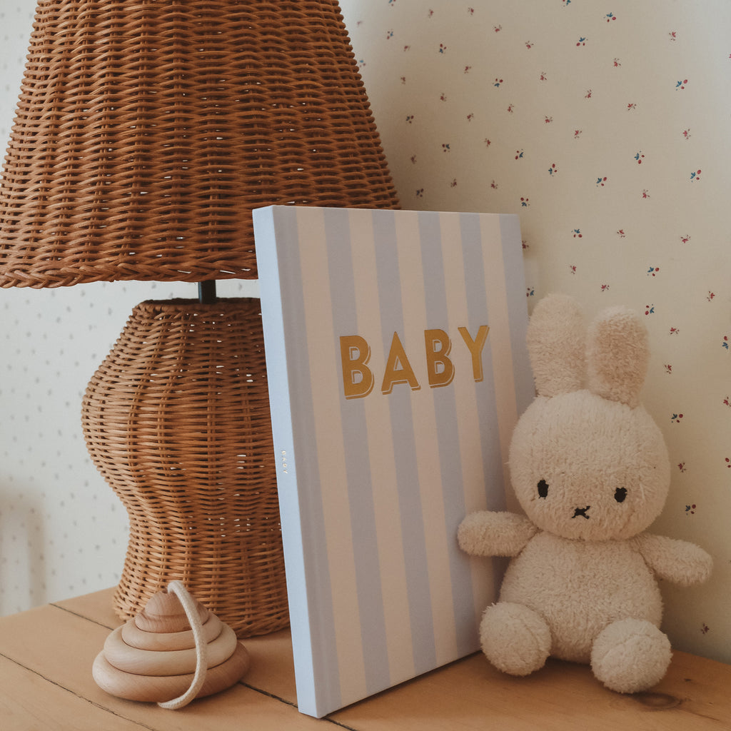 Baby Book Cloud Stripe Boxed - 3rd Edition - PRE-ORDER (MAY)