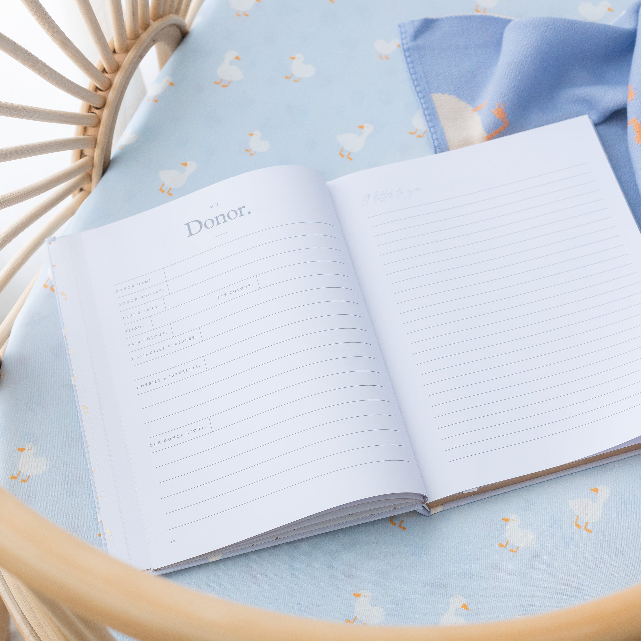 Baby Book Blue Ducks - 3rd Edition - SECONDS