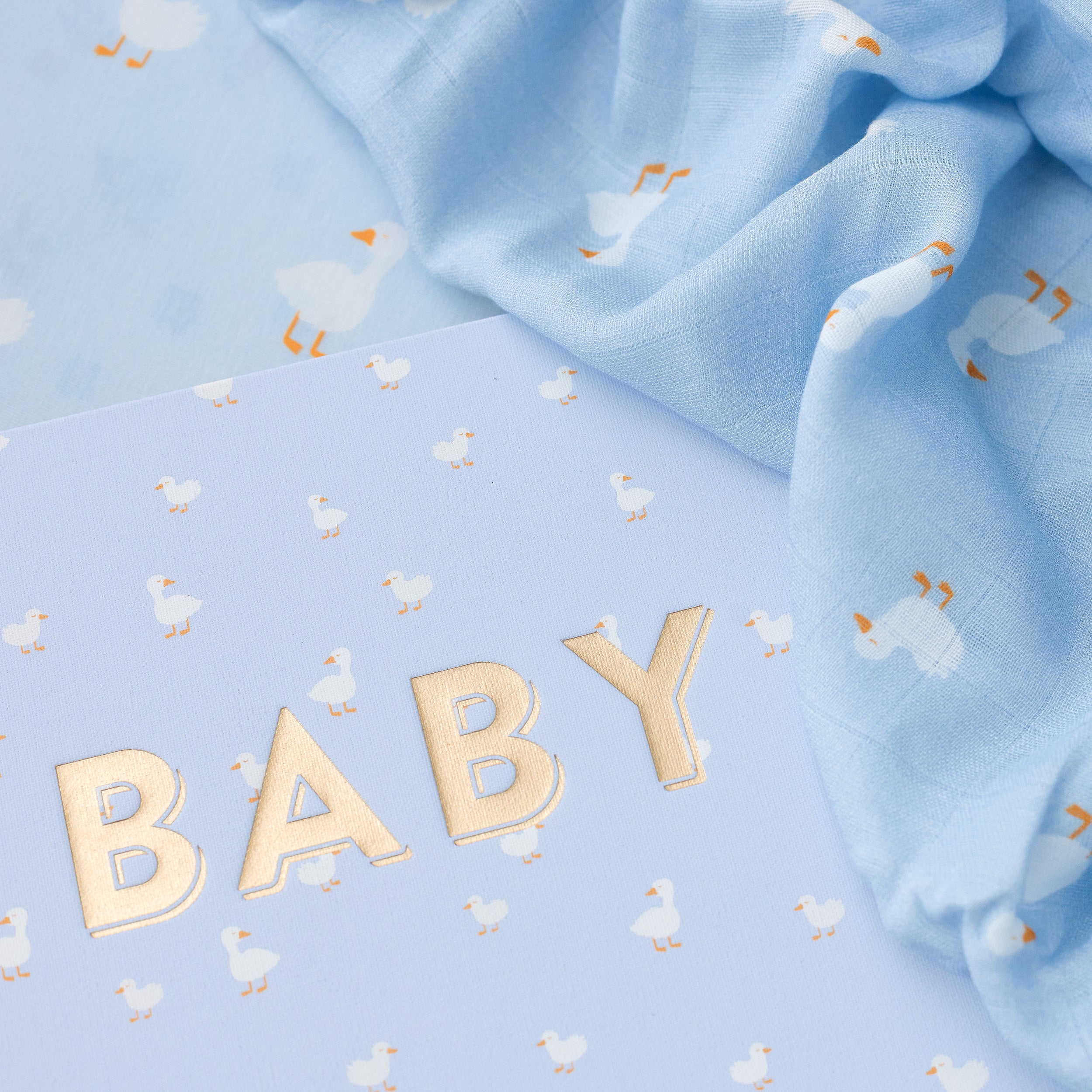 Baby Book Blue Ducks - 3rd Edition - SECONDS