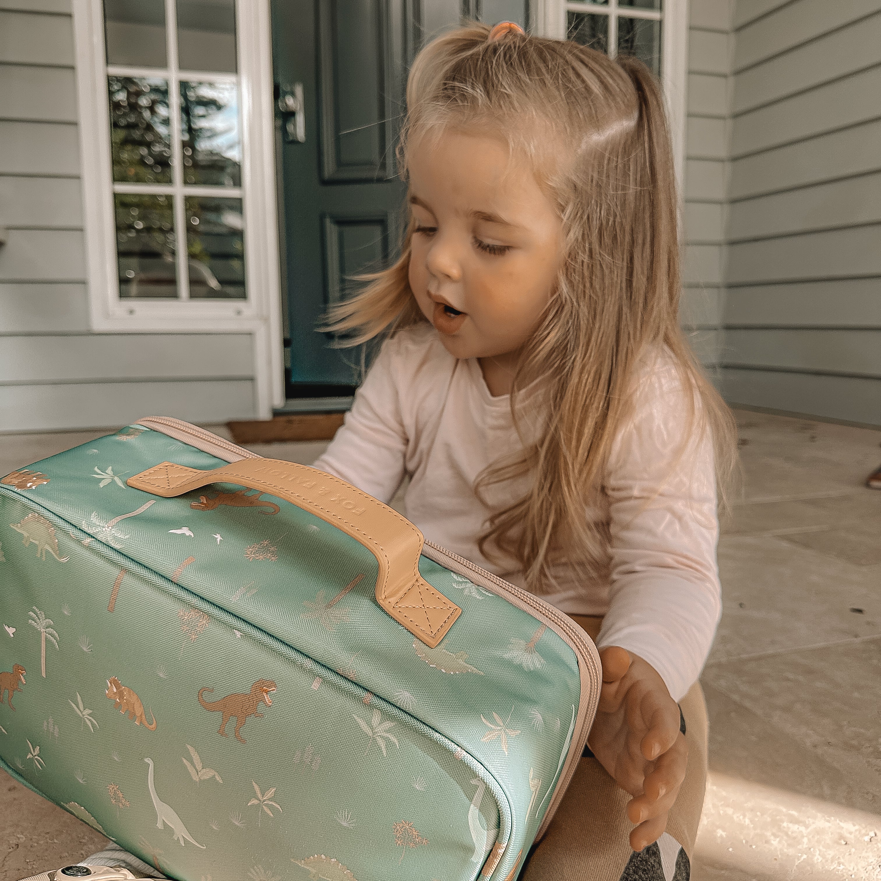 Dinos Large Lunch Bag - SECONDS