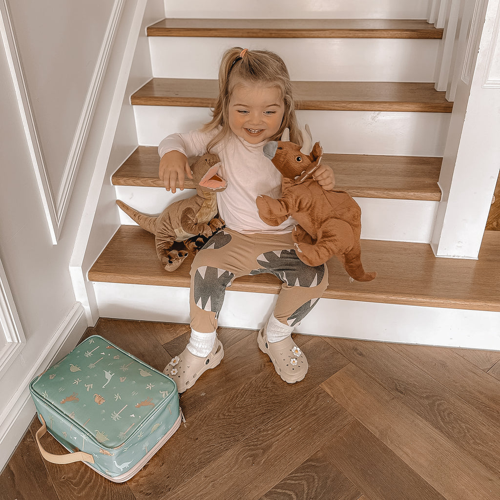 Dinos Large Lunch Bag - SECONDS