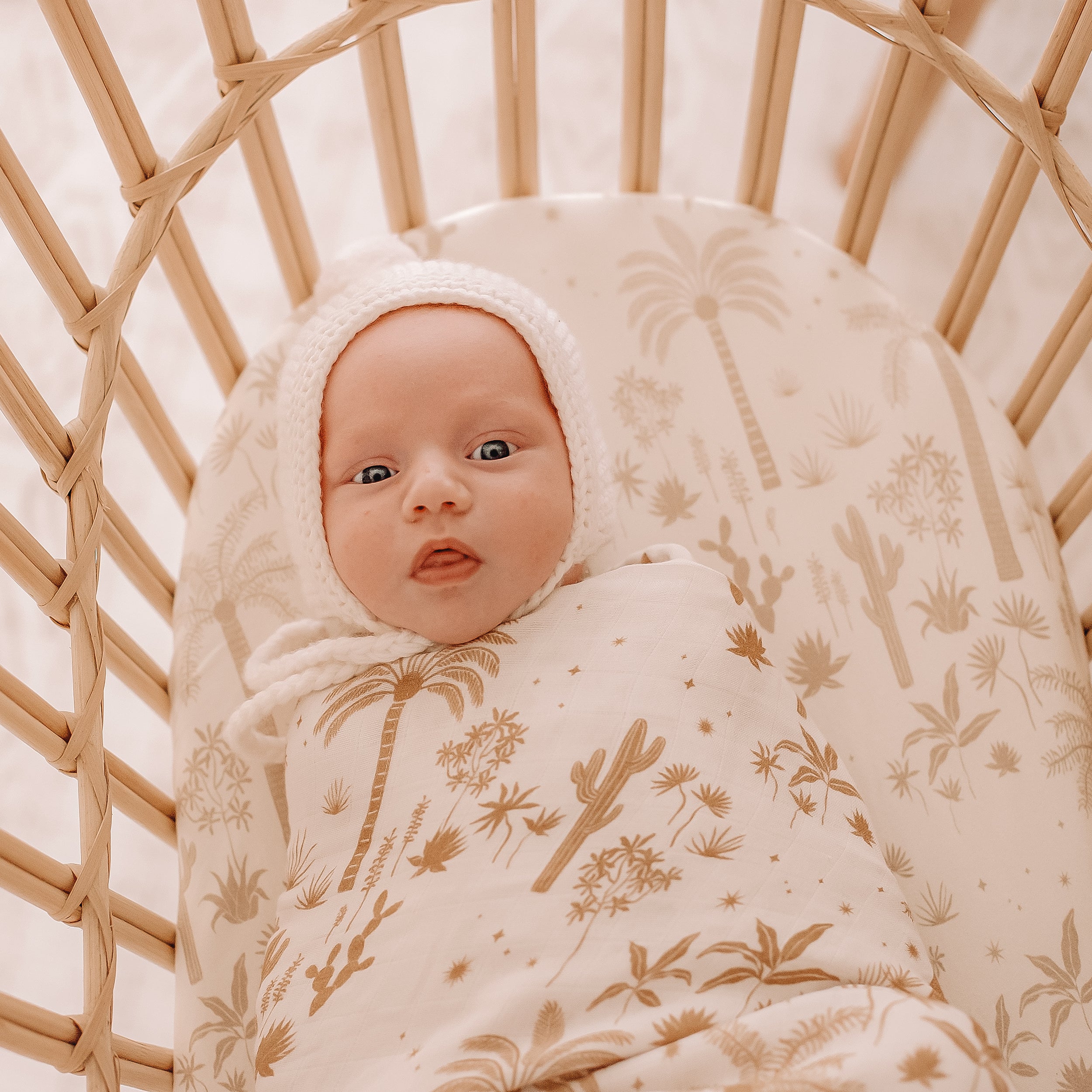 Desert Palms Organic Fitted Bassinet Sheet/Change Pad Cover