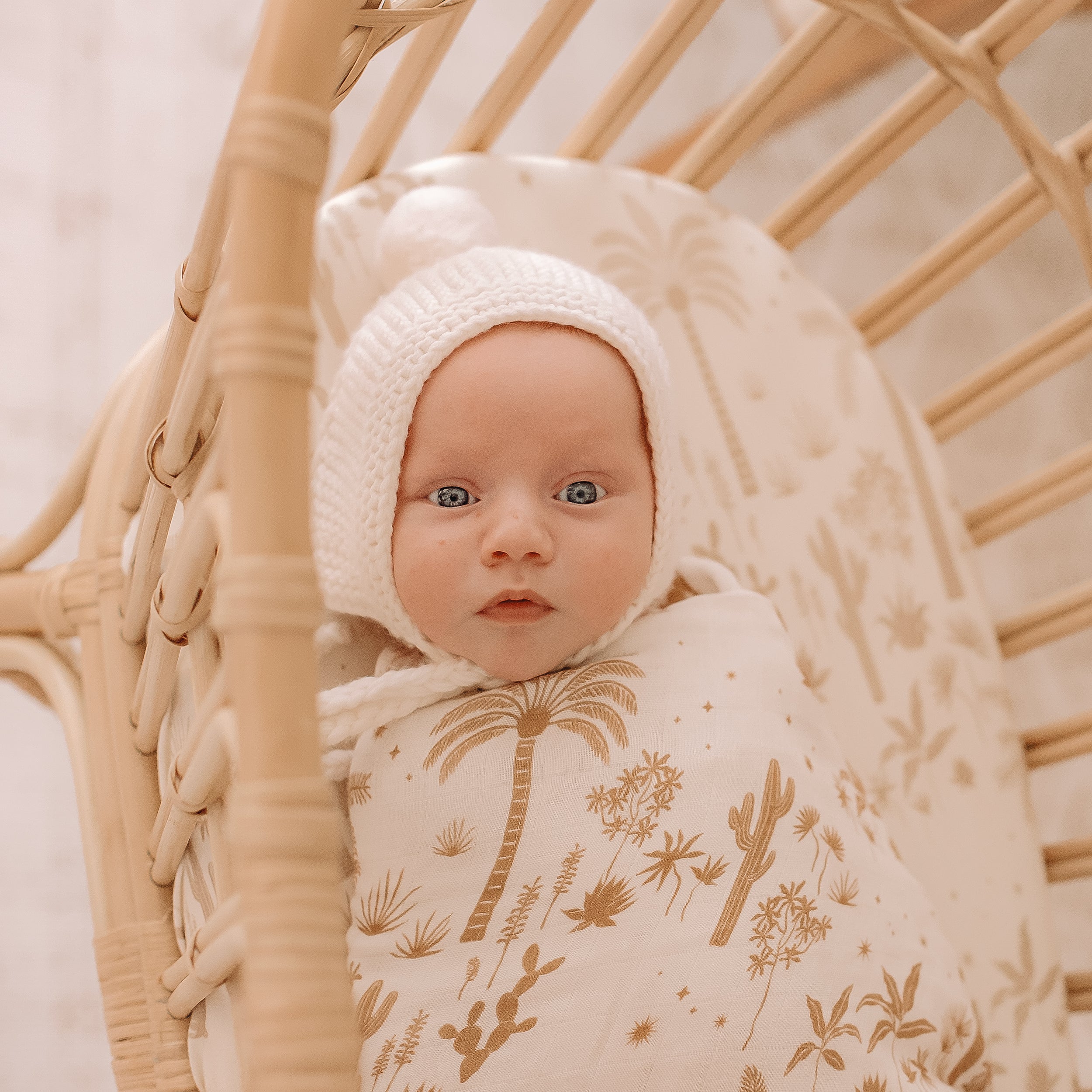 Desert Palms Organic Fitted Bassinet Sheet/Change Pad Cover