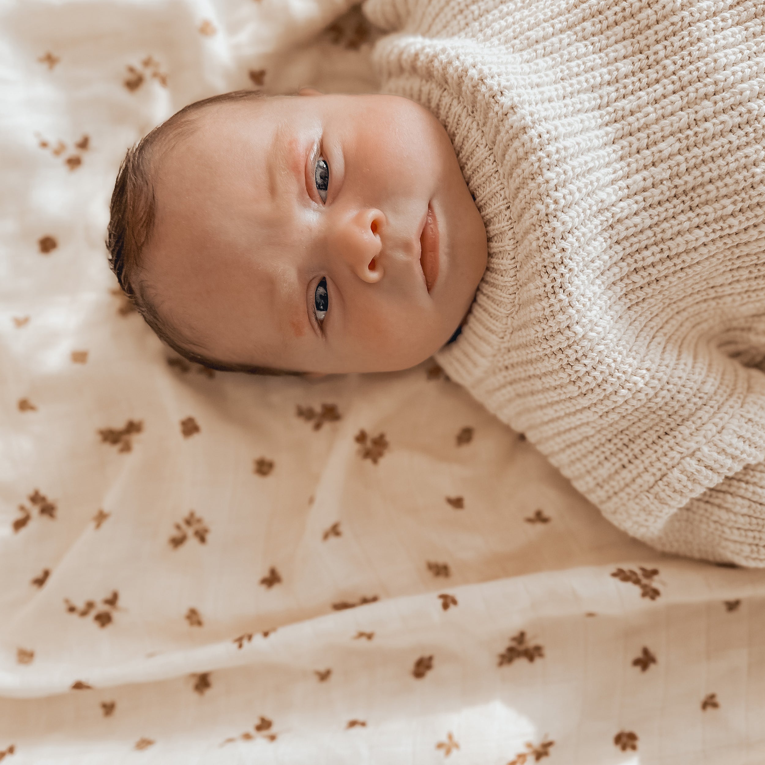 Birch Organic Muslin Wrap Swaddle