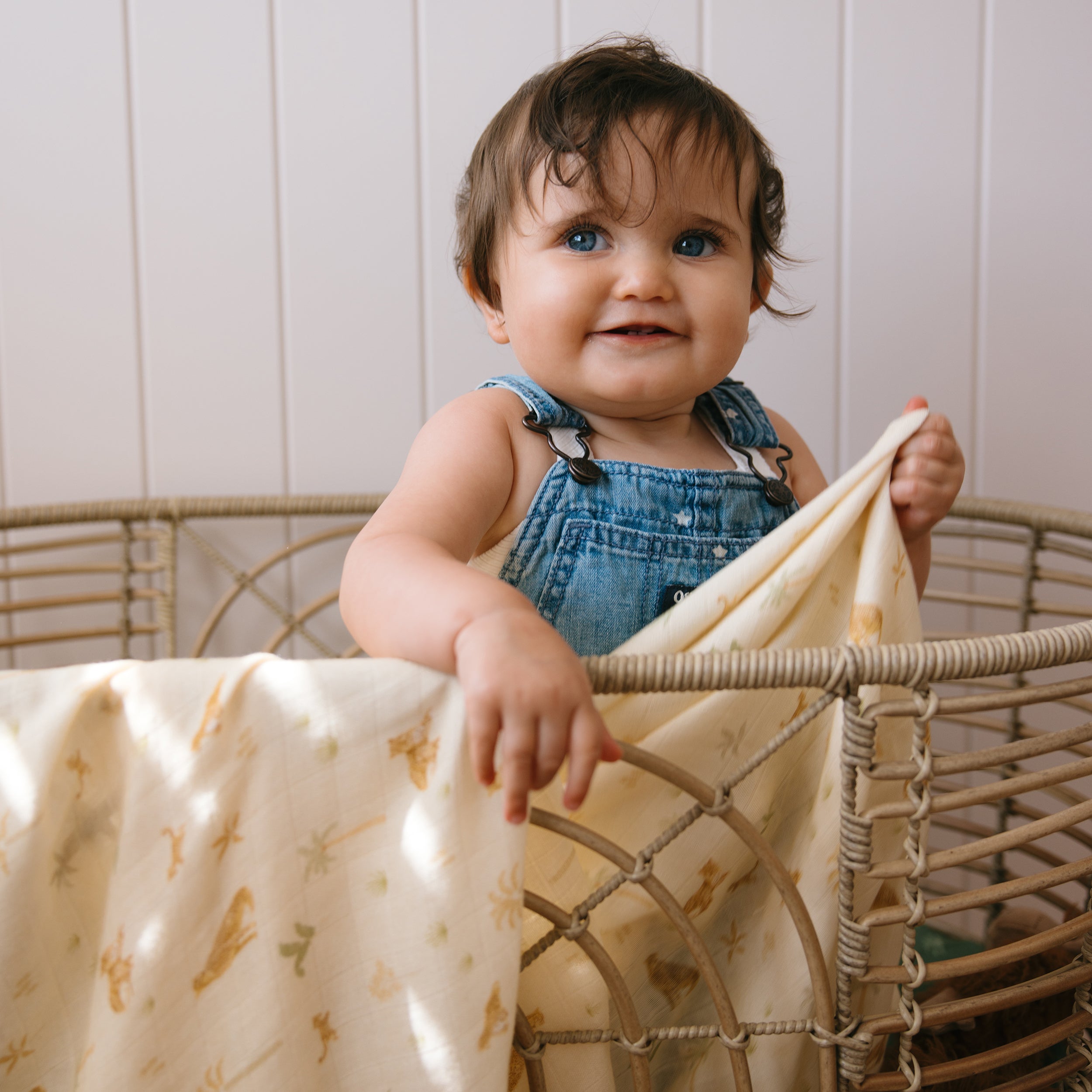 Little Leopards Organic Fitted Bassinet Sheet/Change Pad Cover - SECONDS