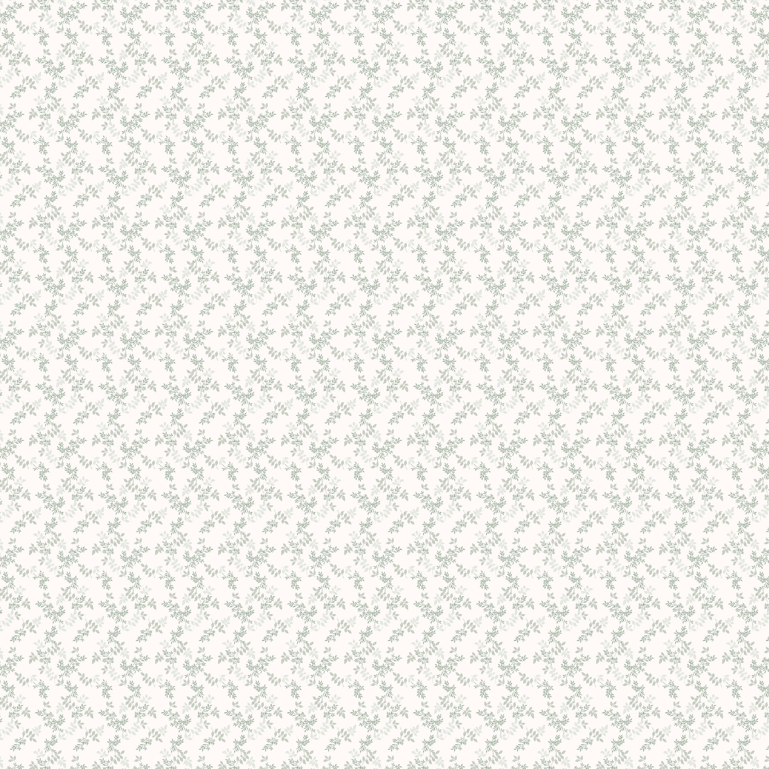 Spruce / Cypress Organic Muslin Wrap Set