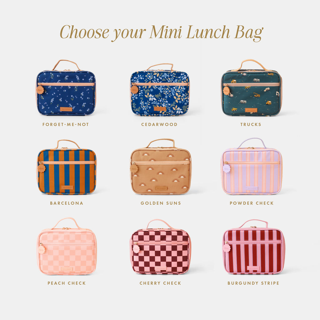 Mini + Large Lunch Bag Duo