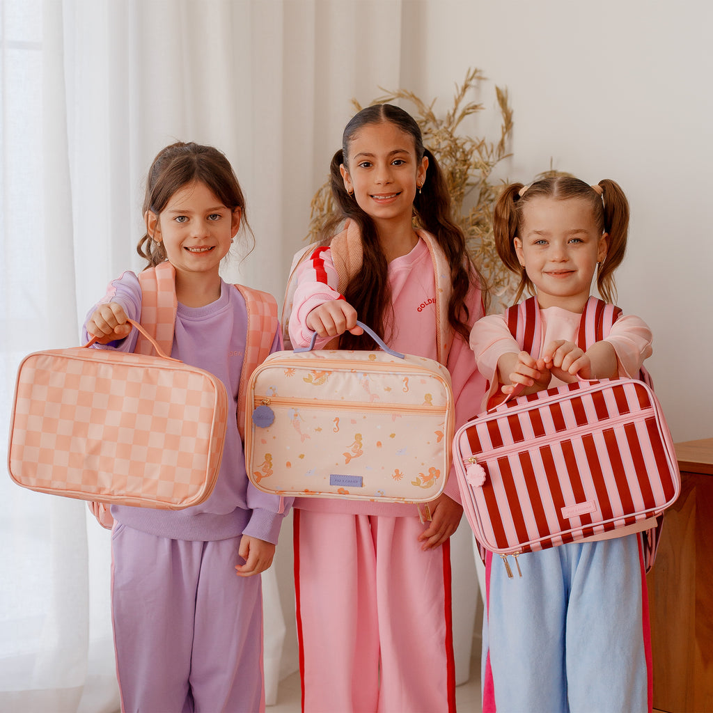 Peach Check Large Lunch Bag - SECONDS