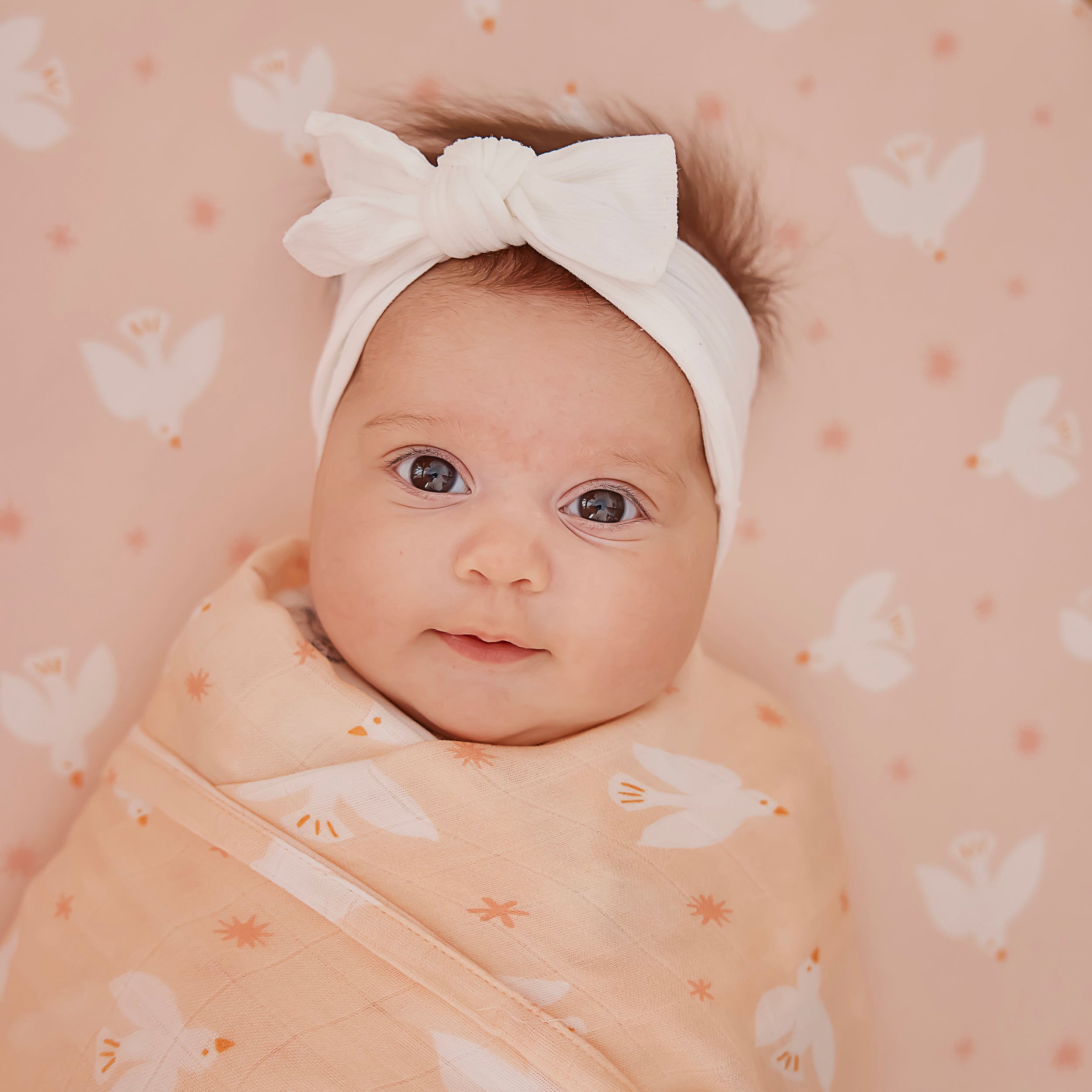 Pink Doves Organic Fitted Bassinet Sheet/Change Pad Cover