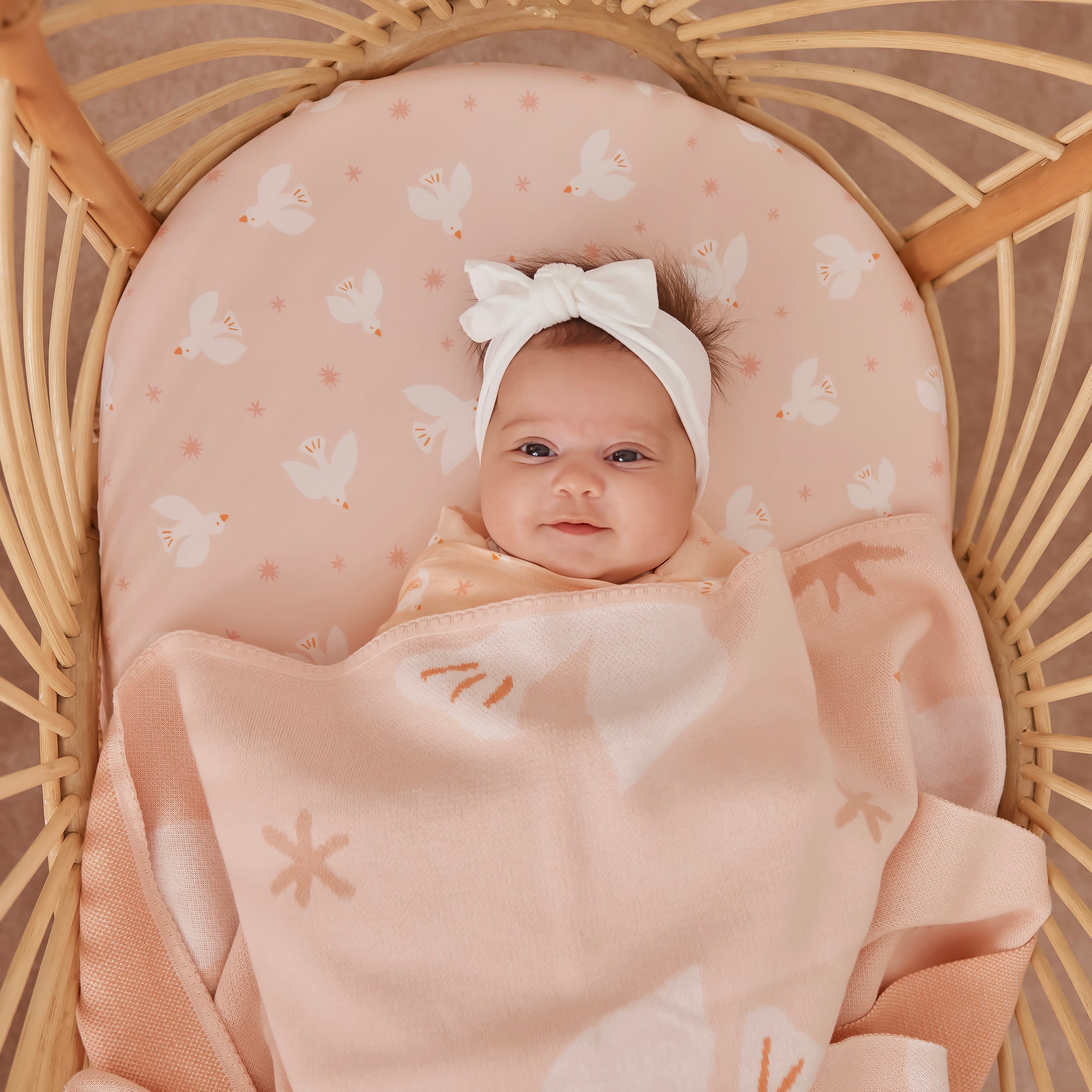 Pink Doves Blanket