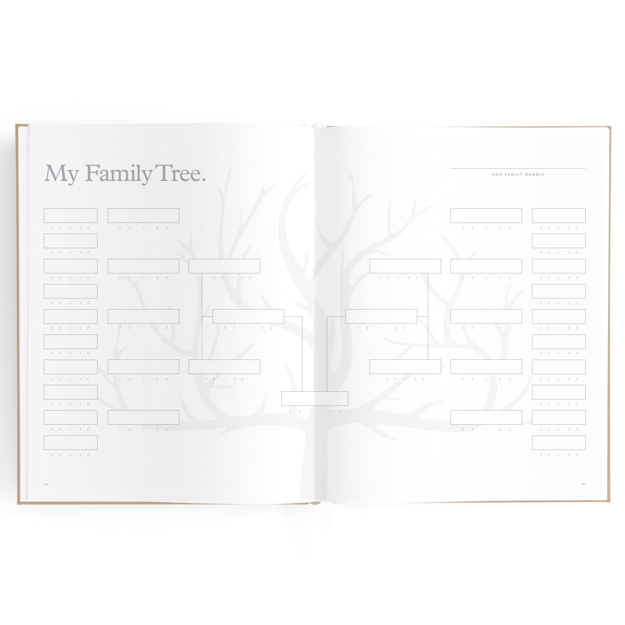 Baby Book Biscuit Boxed - 3rd Edition - PRE-ORDER (MAY)