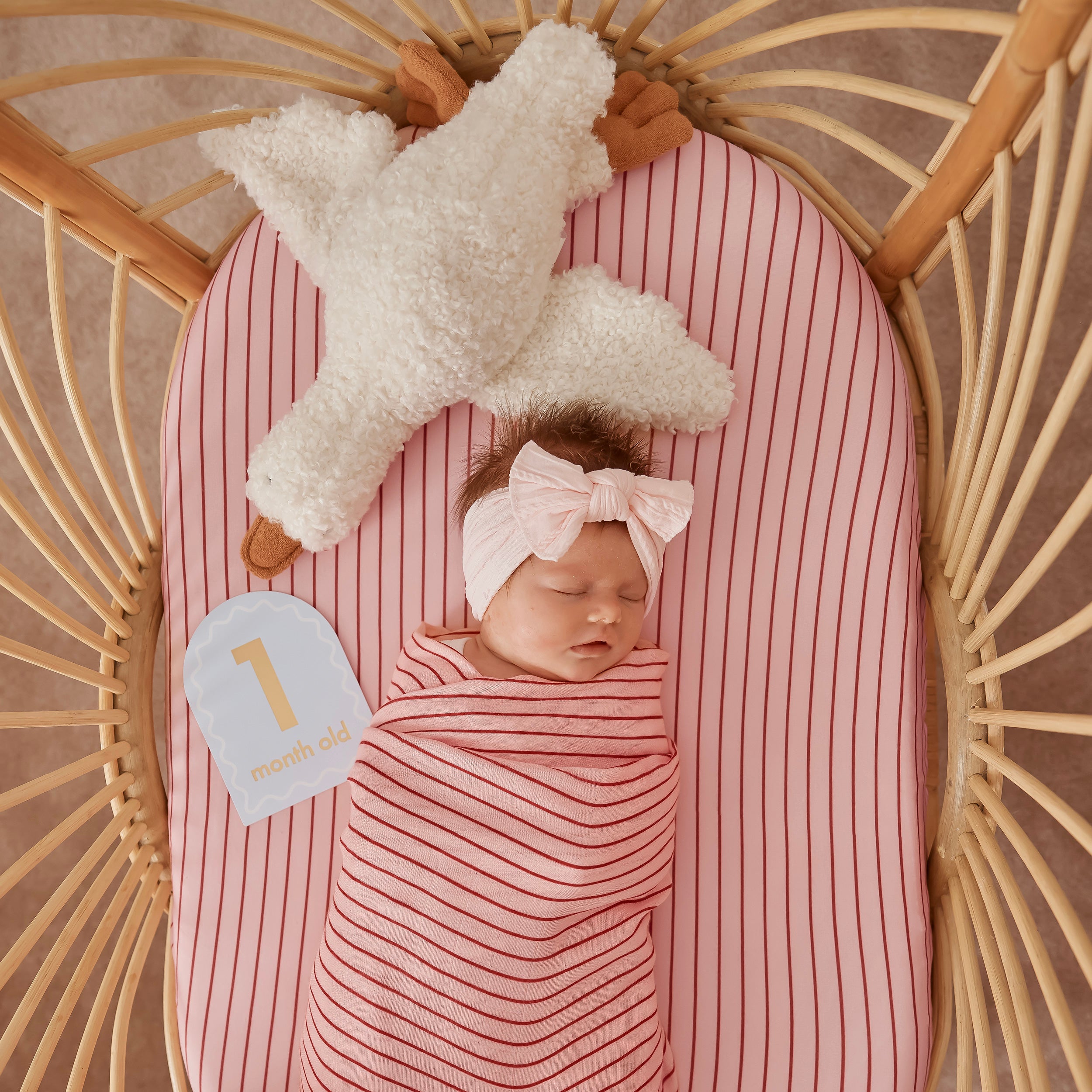 Strawberry Stripe Organic Fitted Bassinet Sheet/Change Pad Cover