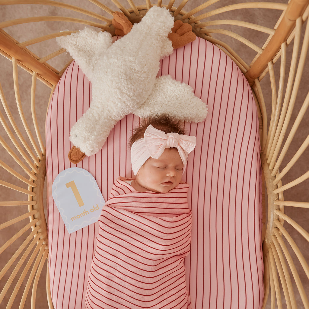 Strawberry Stripe Muslin Wrap Swaddle