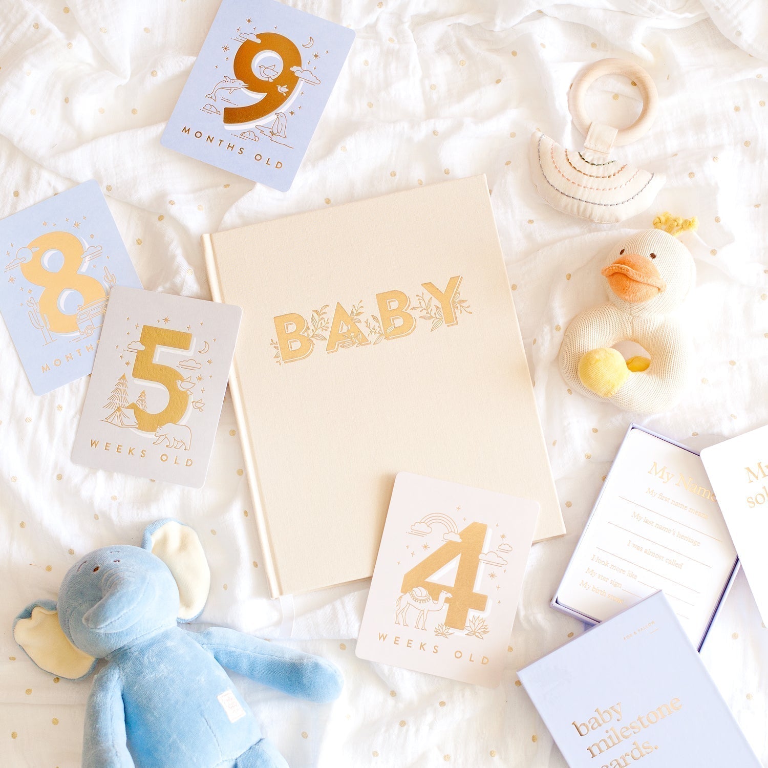 BabyBookButtermilk-BlueMilestoneCards-boy-2_681d52a4-ebc4-448e-872e-284a14740747.jpg