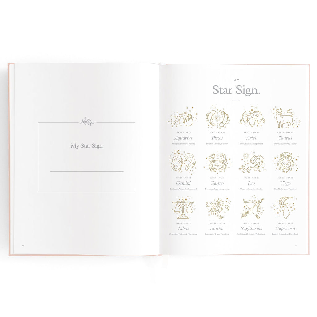 FJ032-BabyBookRose-10_5788f789-dec2-4d94-a642-95533d2cd7de.jpg