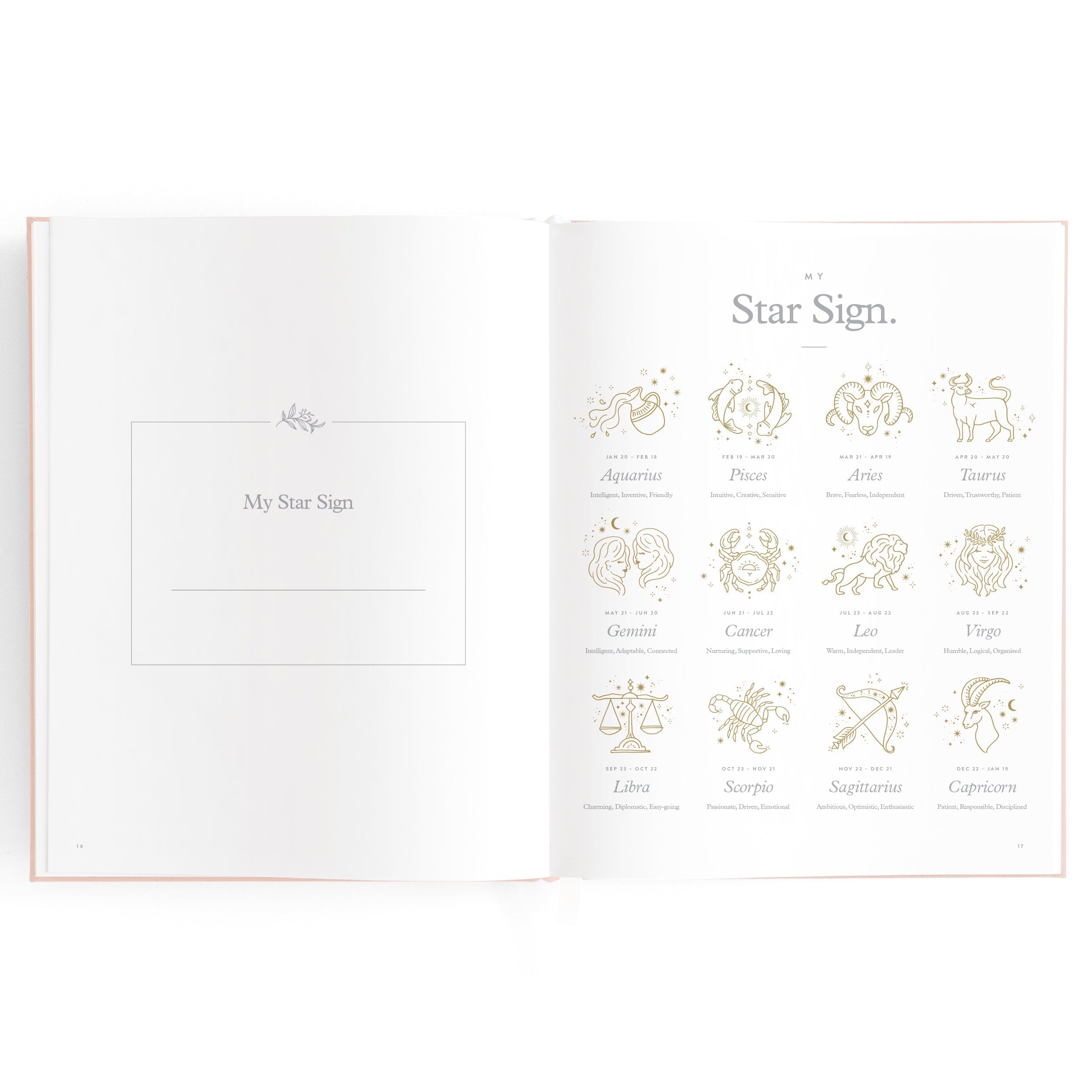 FJ032-BabyBookRose-10_5788f789-dec2-4d94-a642-95533d2cd7de.jpg