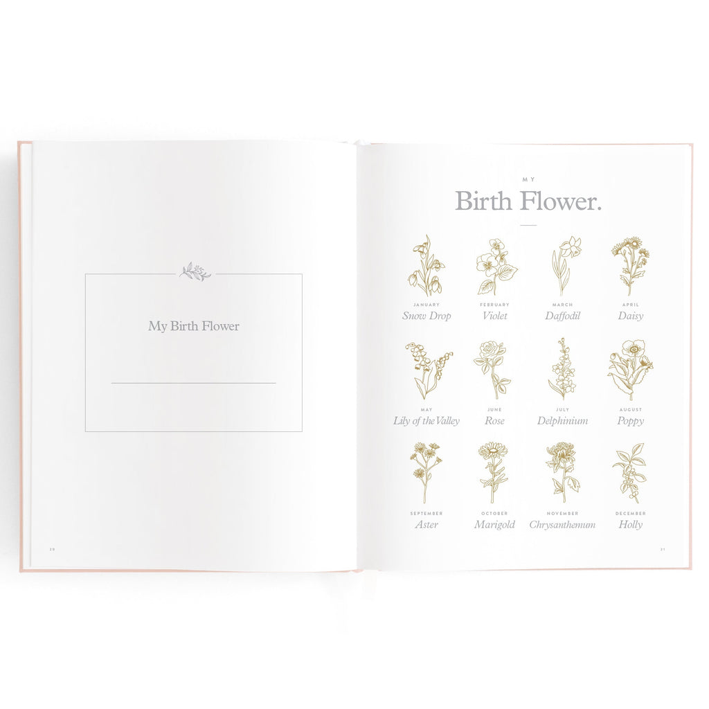 FJ032-BabyBookRose-12_4933344d-c166-4705-87b8-0a4faac0353f.jpg