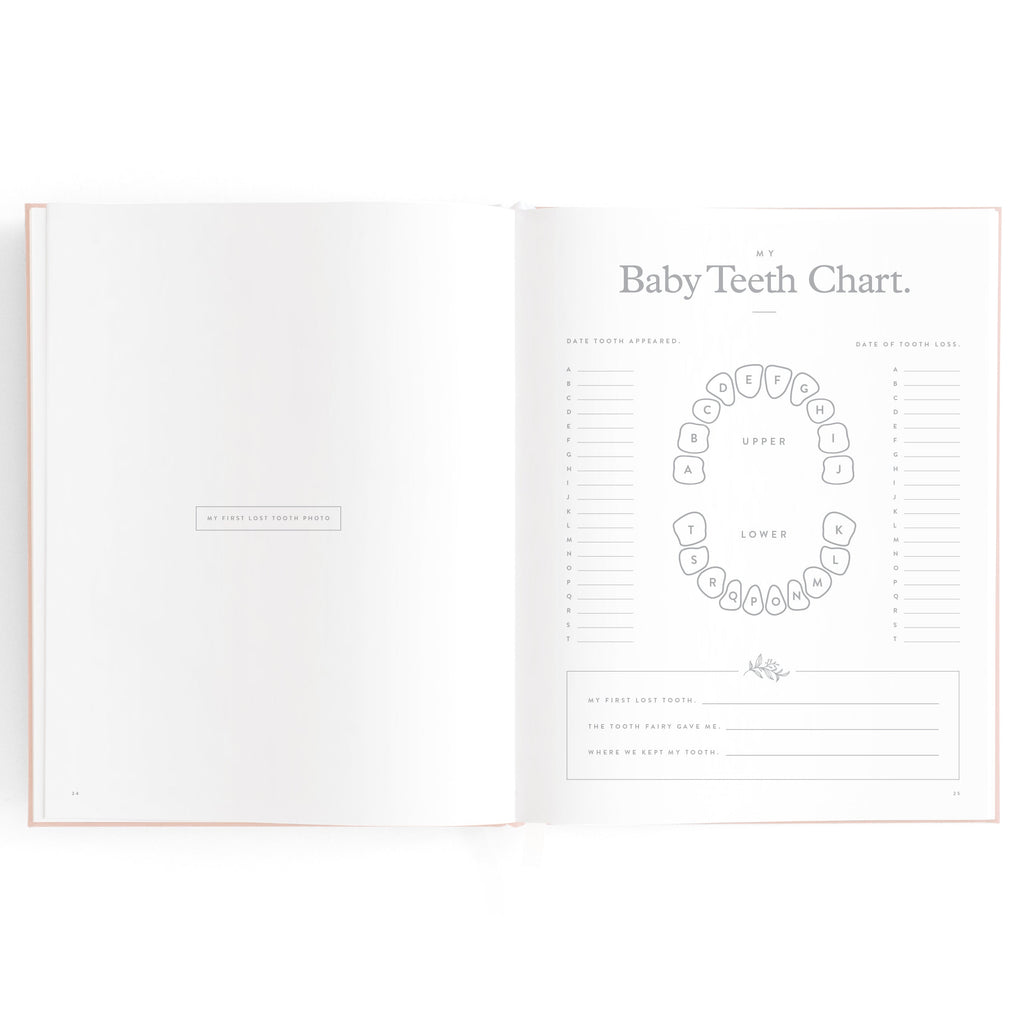 FJ032-BabyBookRose-13_8f57f5ef-a0e7-4f0c-ab3e-c6eecc2574e9.jpg