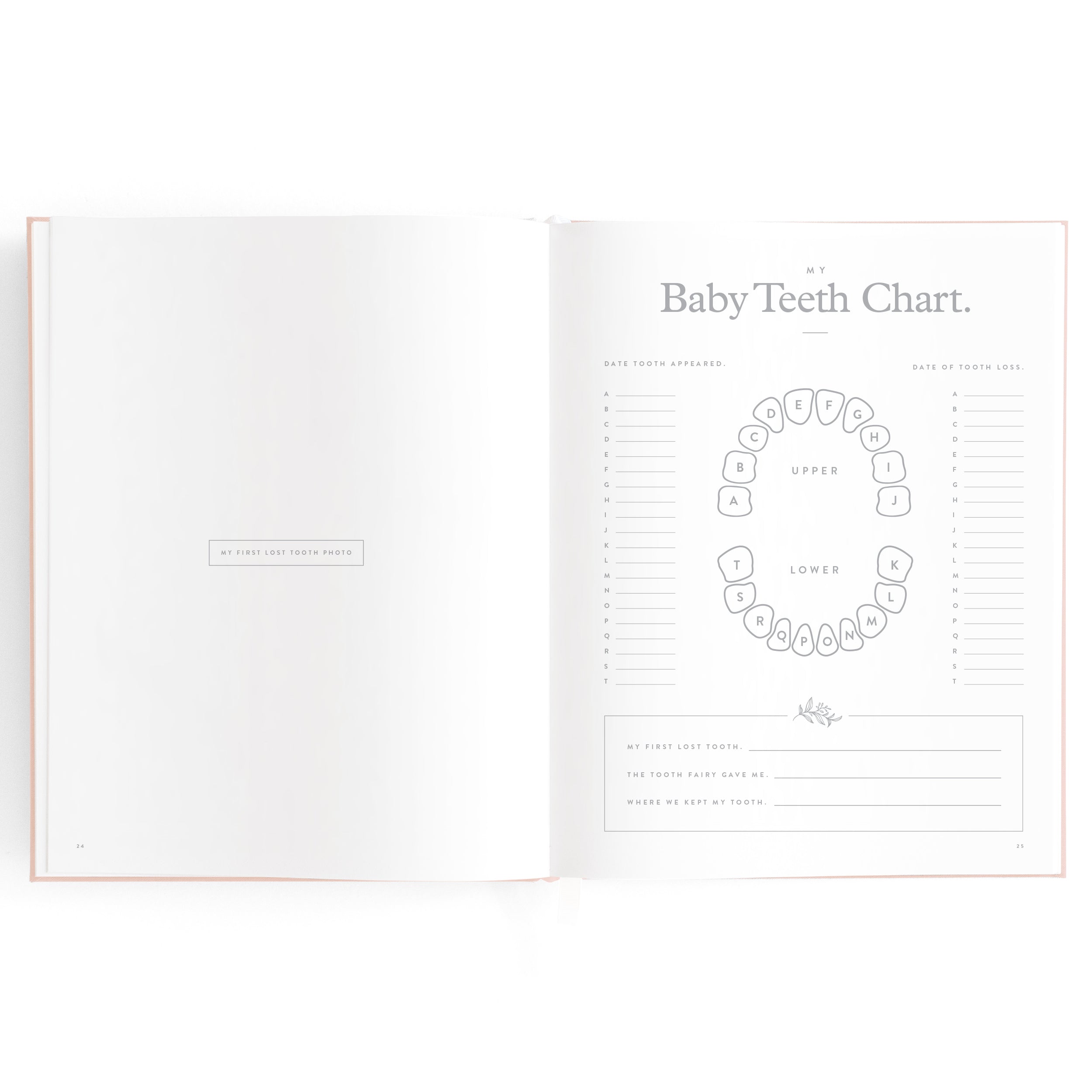 FJ032-BabyBookRose-13_8f57f5ef-a0e7-4f0c-ab3e-c6eecc2574e9.jpg