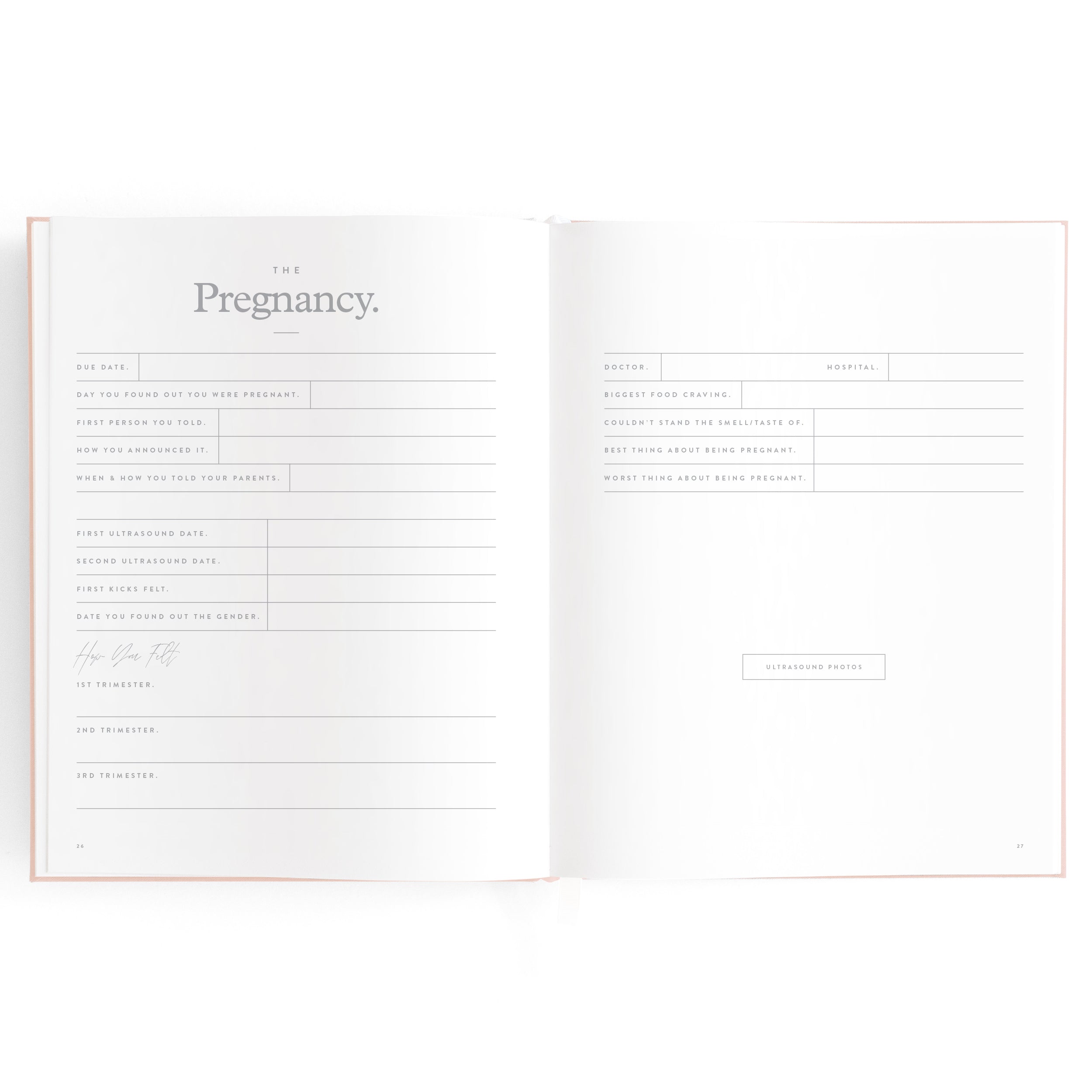 FJ032-BabyBookRose-14_79765a18-9992-47e5-a901-30a3ad22c75c.jpg