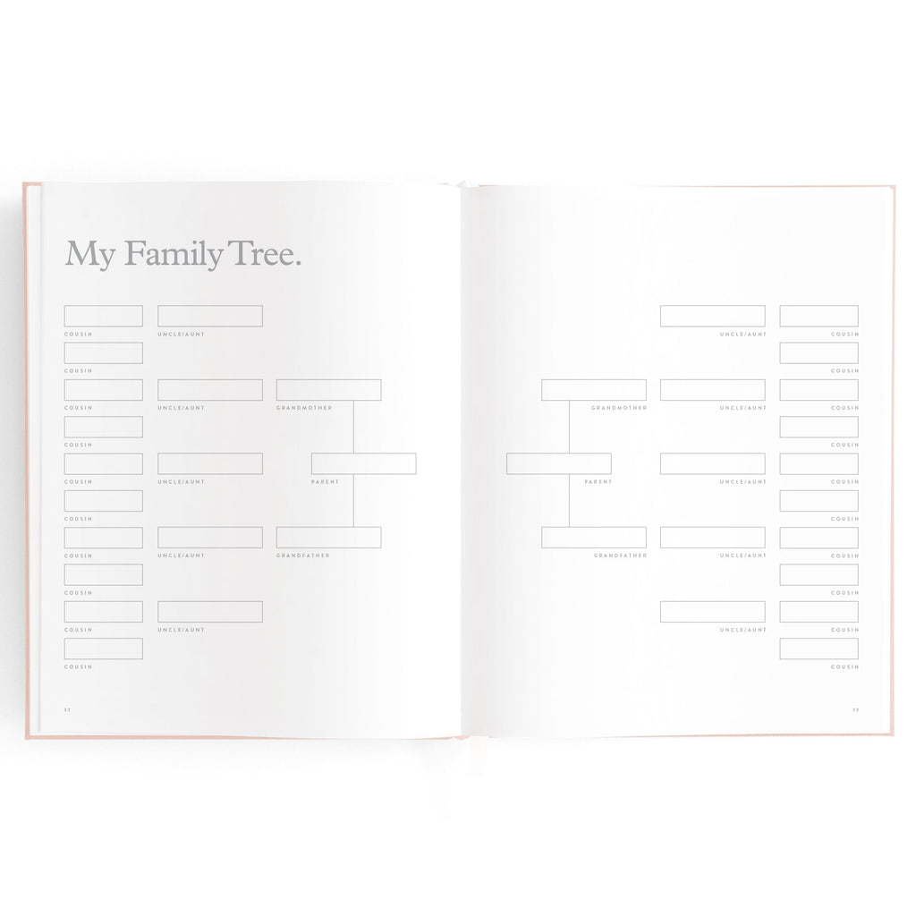 FJ032-BabyBookRose-15_c08355a2-f279-4742-88ad-2fbb8f6a85dc.jpg