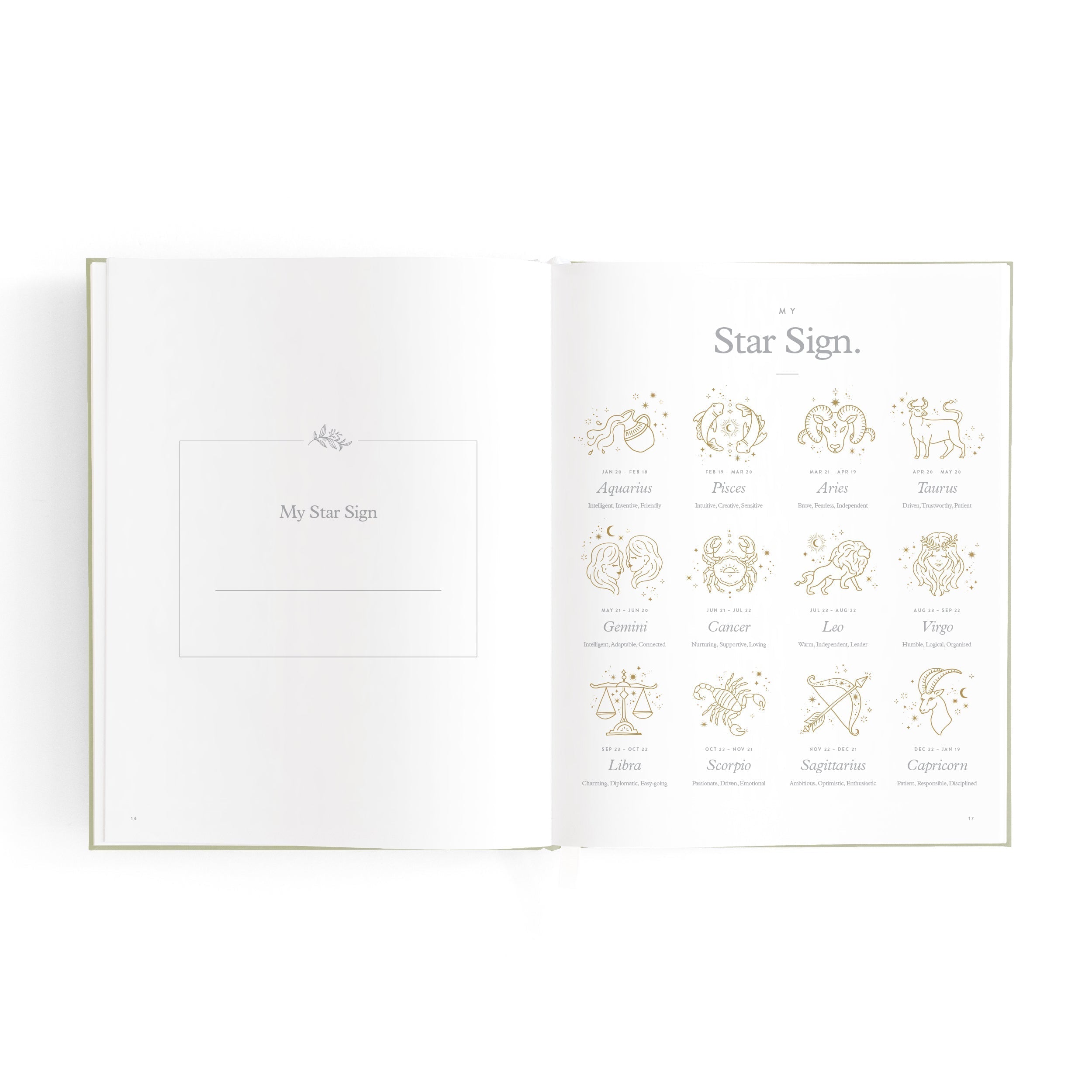 FJ040-MiniBabyBookSage-14.jpg