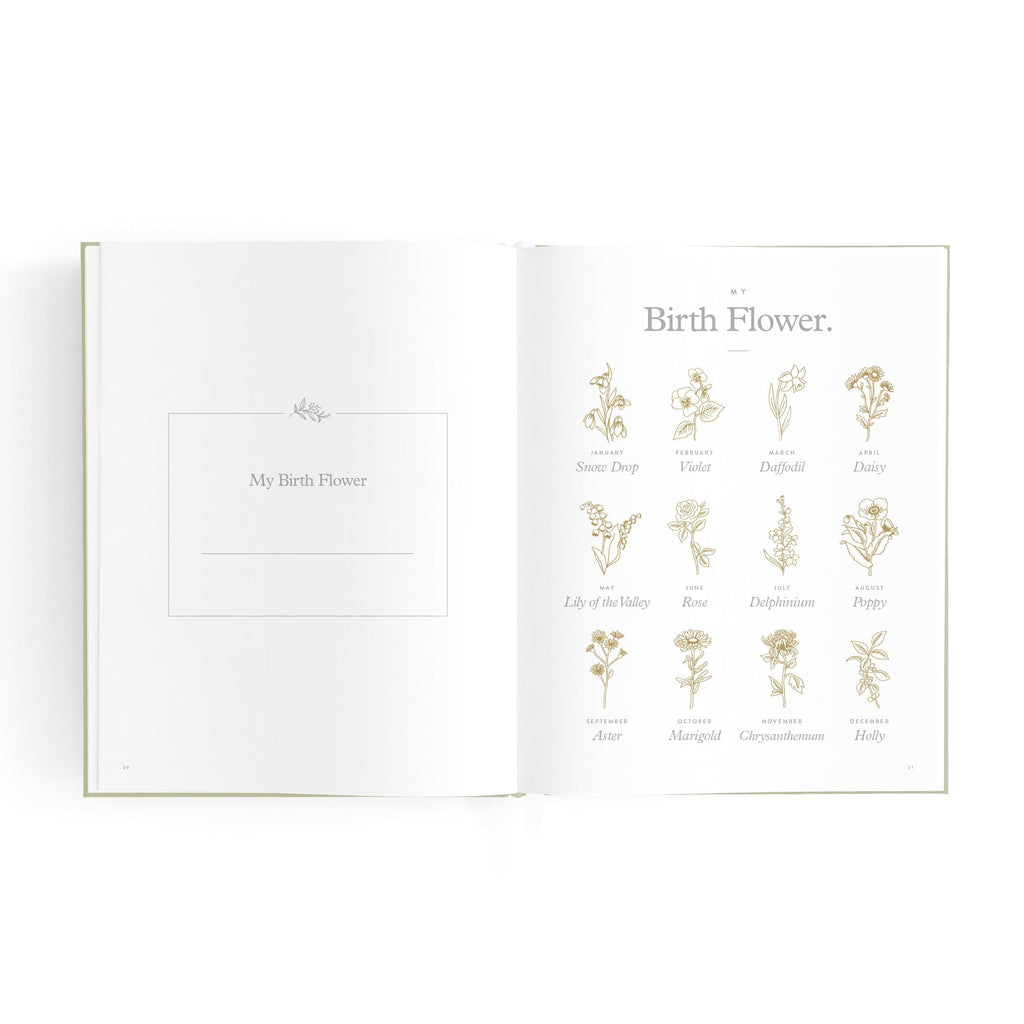 FJ040-MiniBabyBookSage-16.jpg