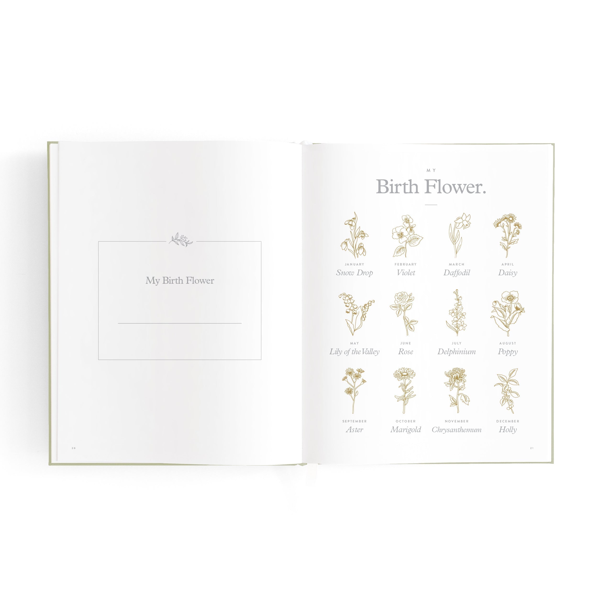 FJ040-MiniBabyBookSage-16.jpg