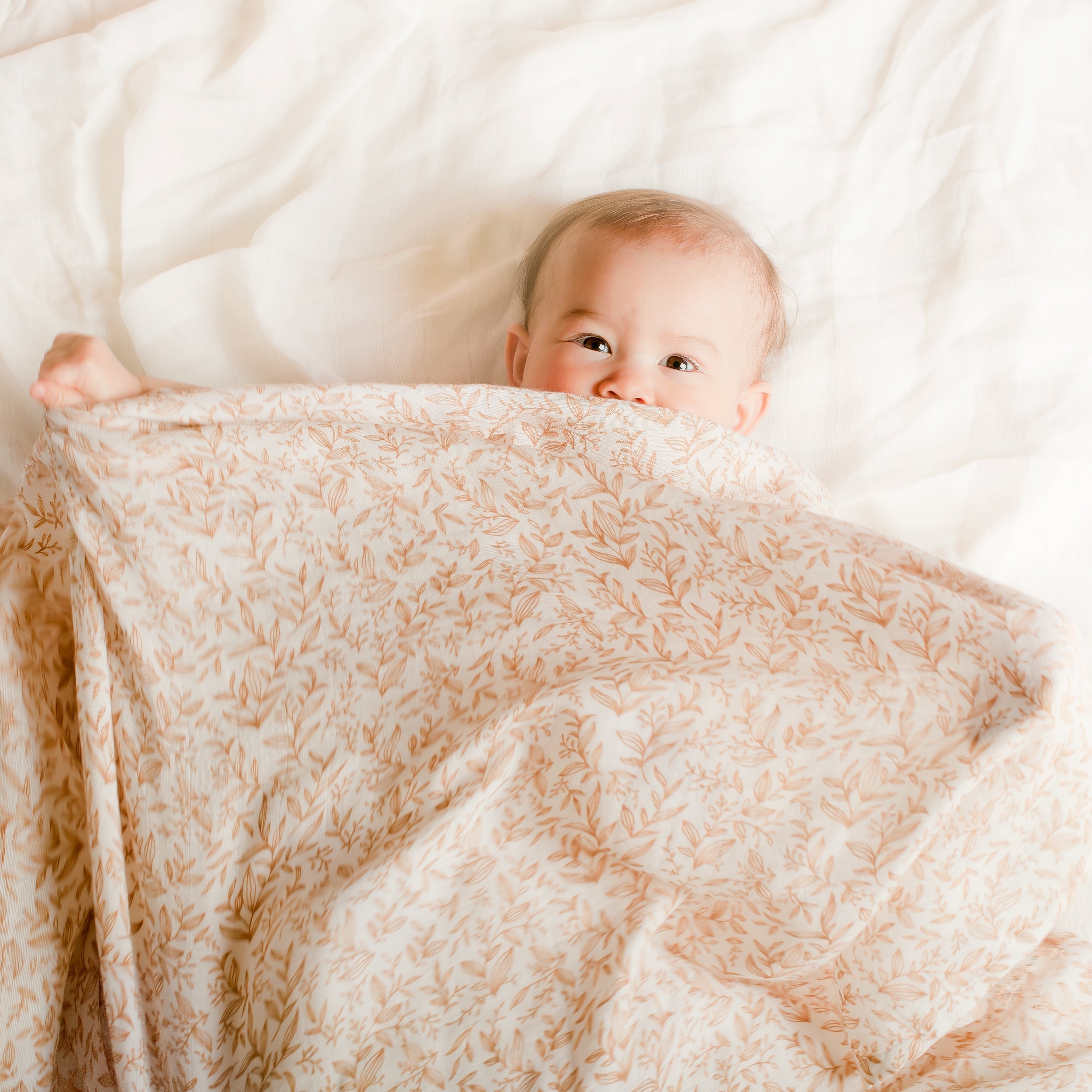 MWRAP01-GoldenVines-Frankie-8B.jpg